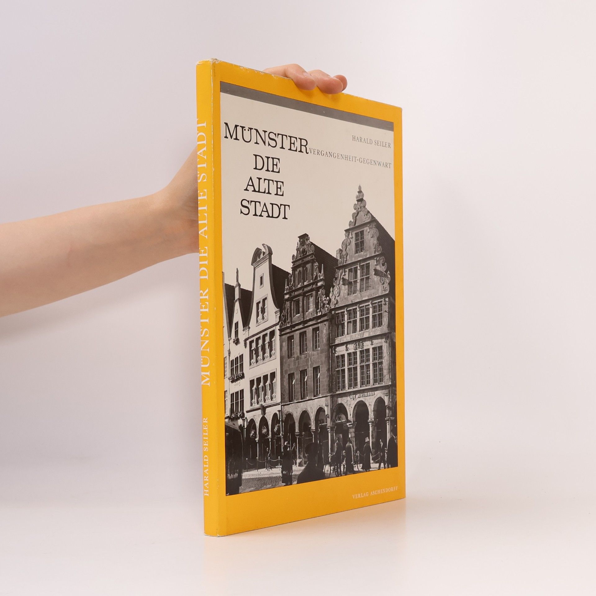 Harald Seiler Münster, die alte Stadt