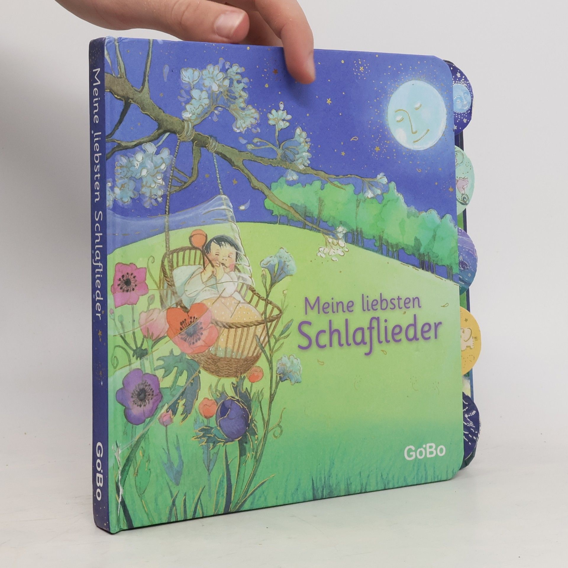 Collectif d'auteurs Meine liebsten Schlaflieder