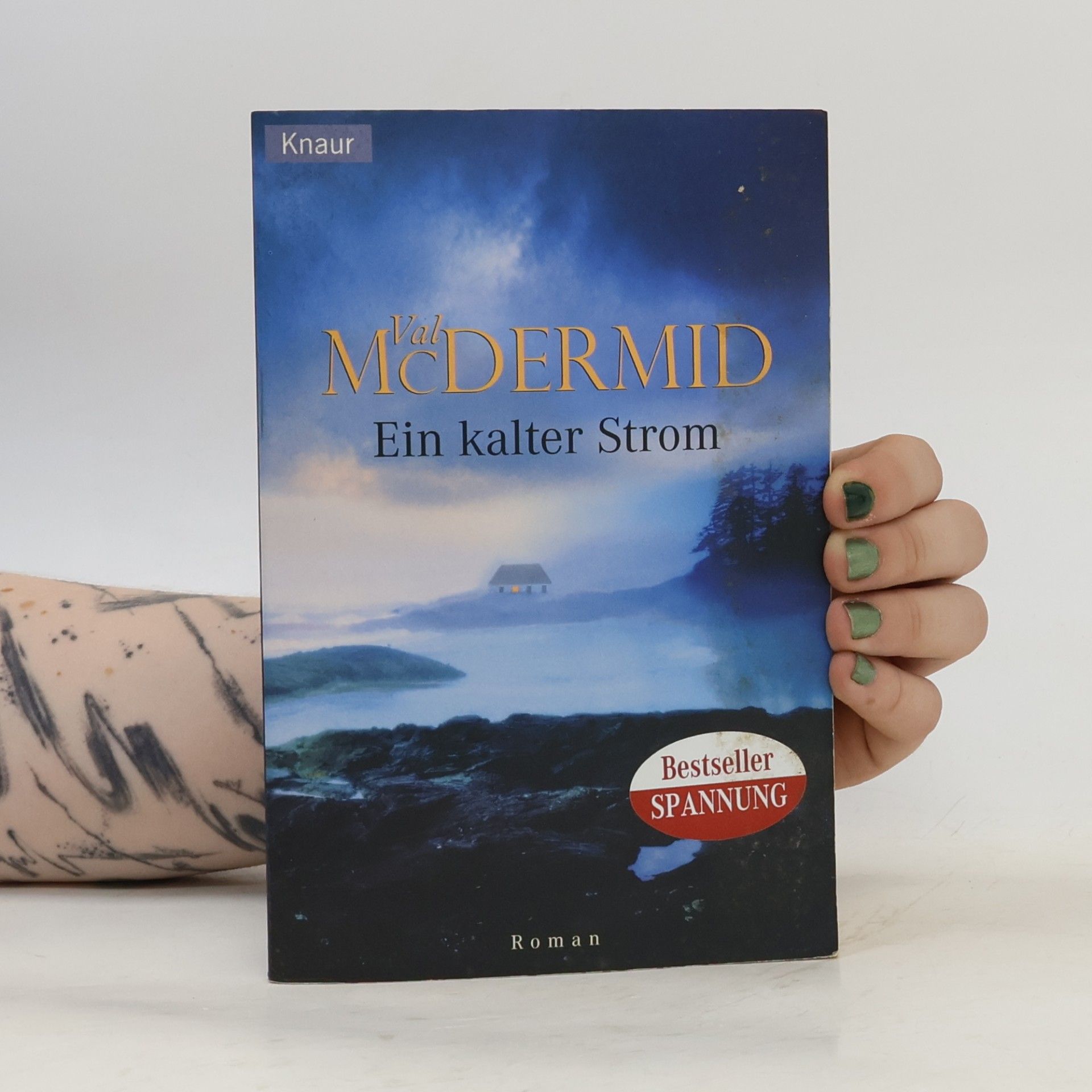 Val McDermid Ein kalter Strom