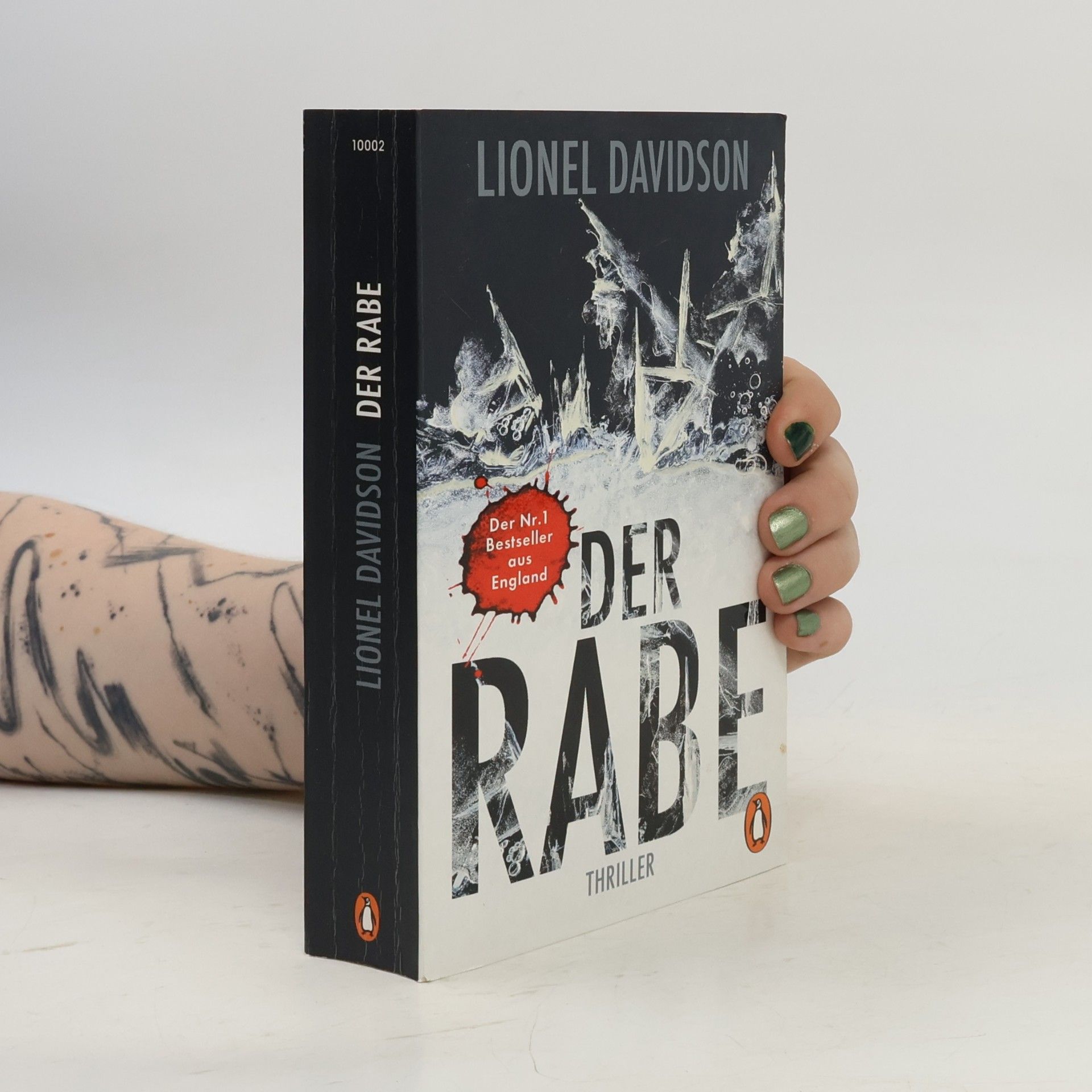 Lionel Davidson Der Rabe