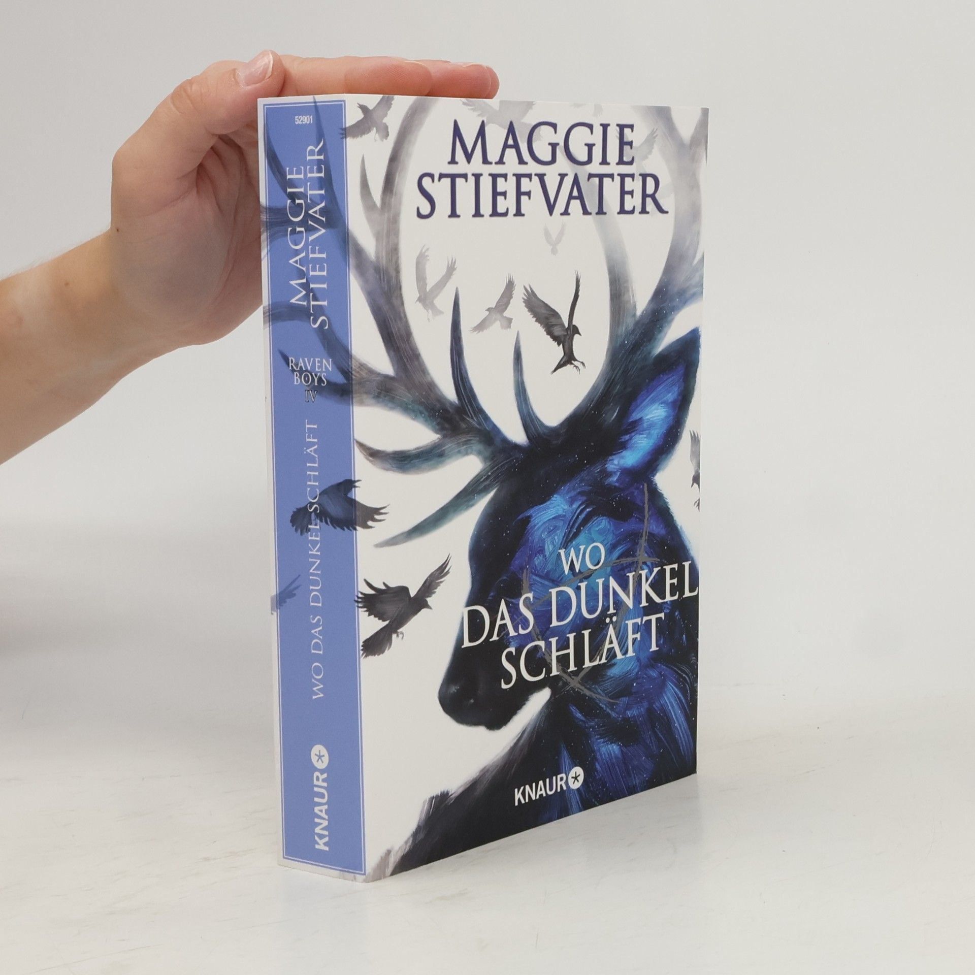 Maggie Stiefvater Wo das Dunkel schläft
