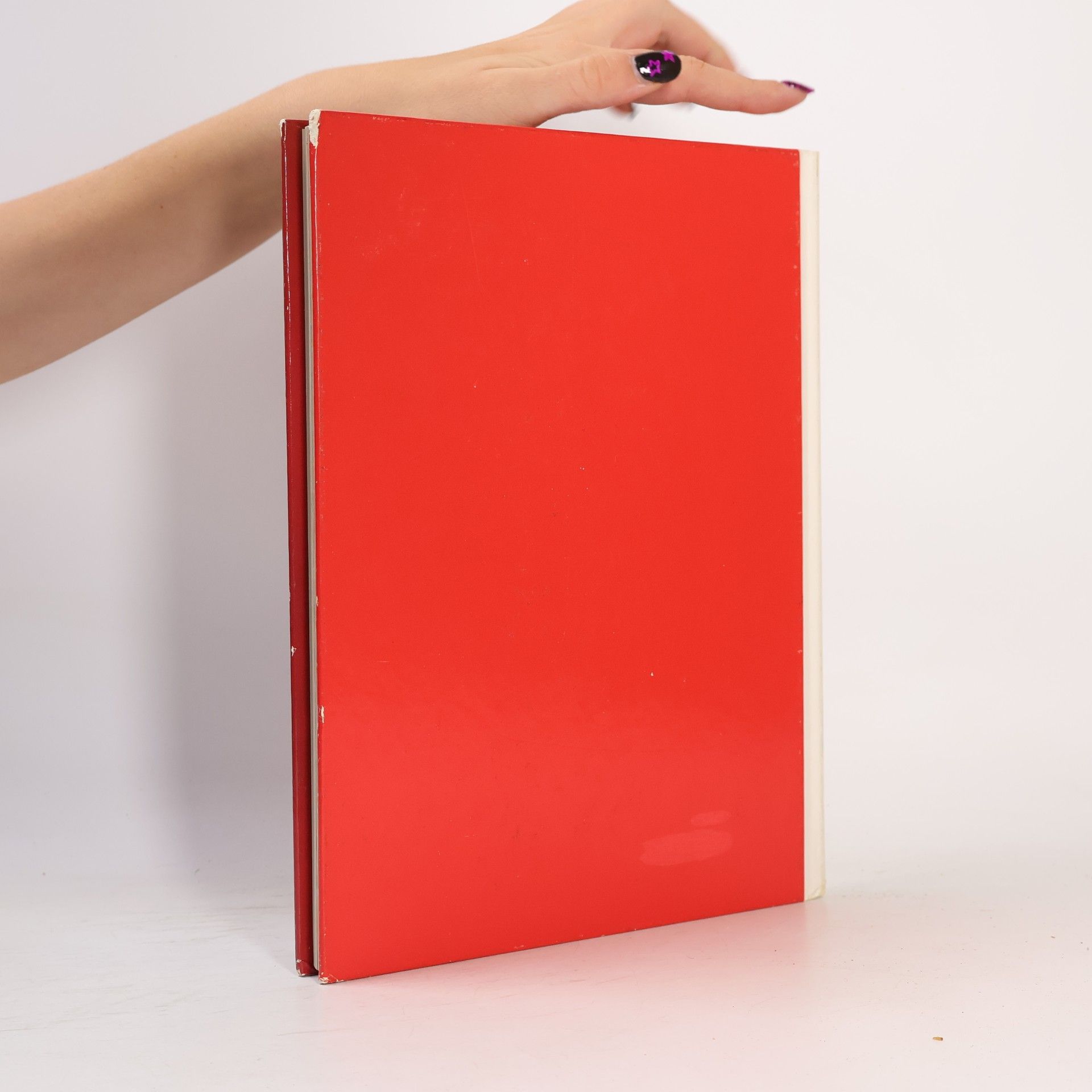 Autores varios Die chinesische Küche