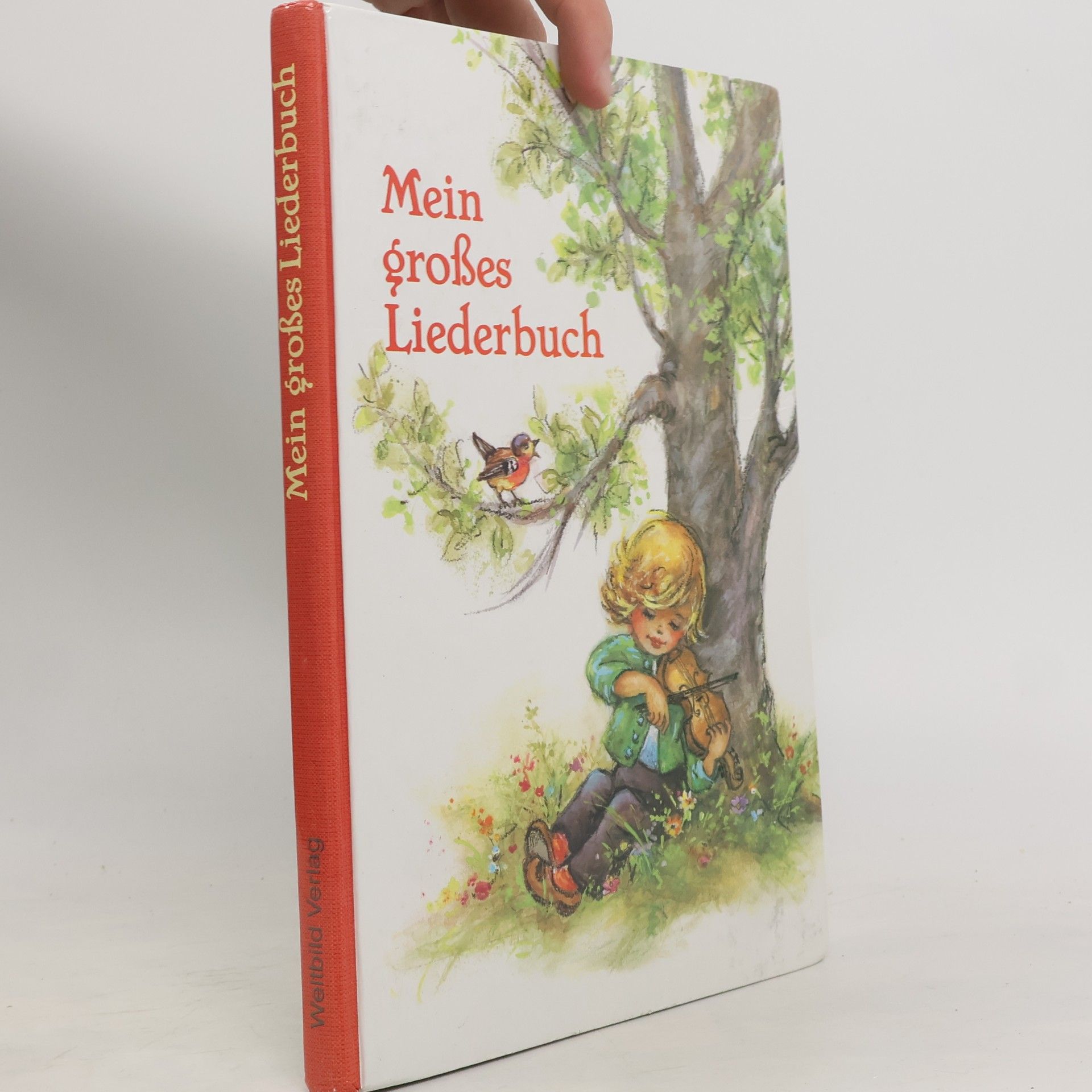 Lore Hummel Mein großes Liederbuch. Illustrationen Lore Hummel