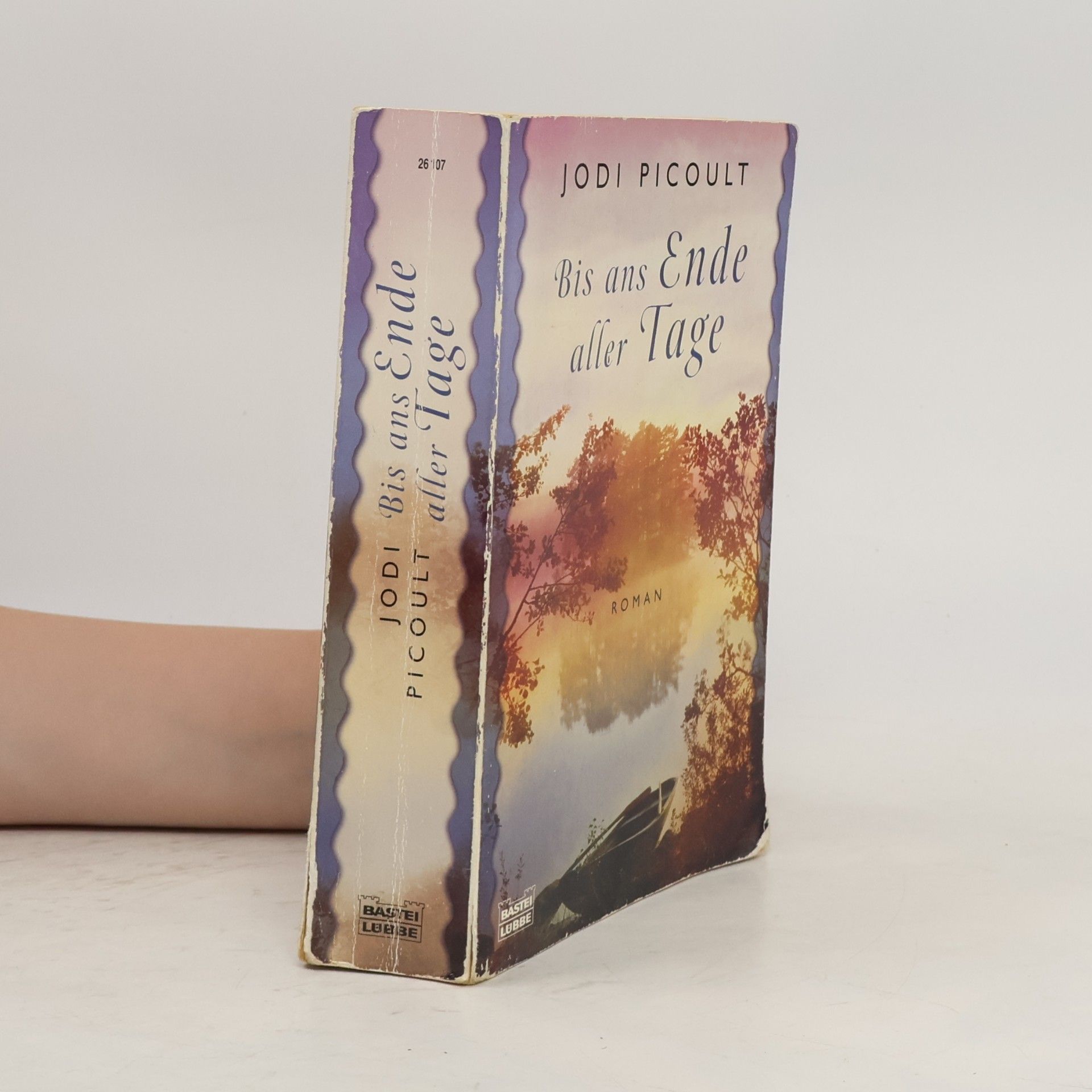 Jodi Picoult Bis ans Ende aller Tage