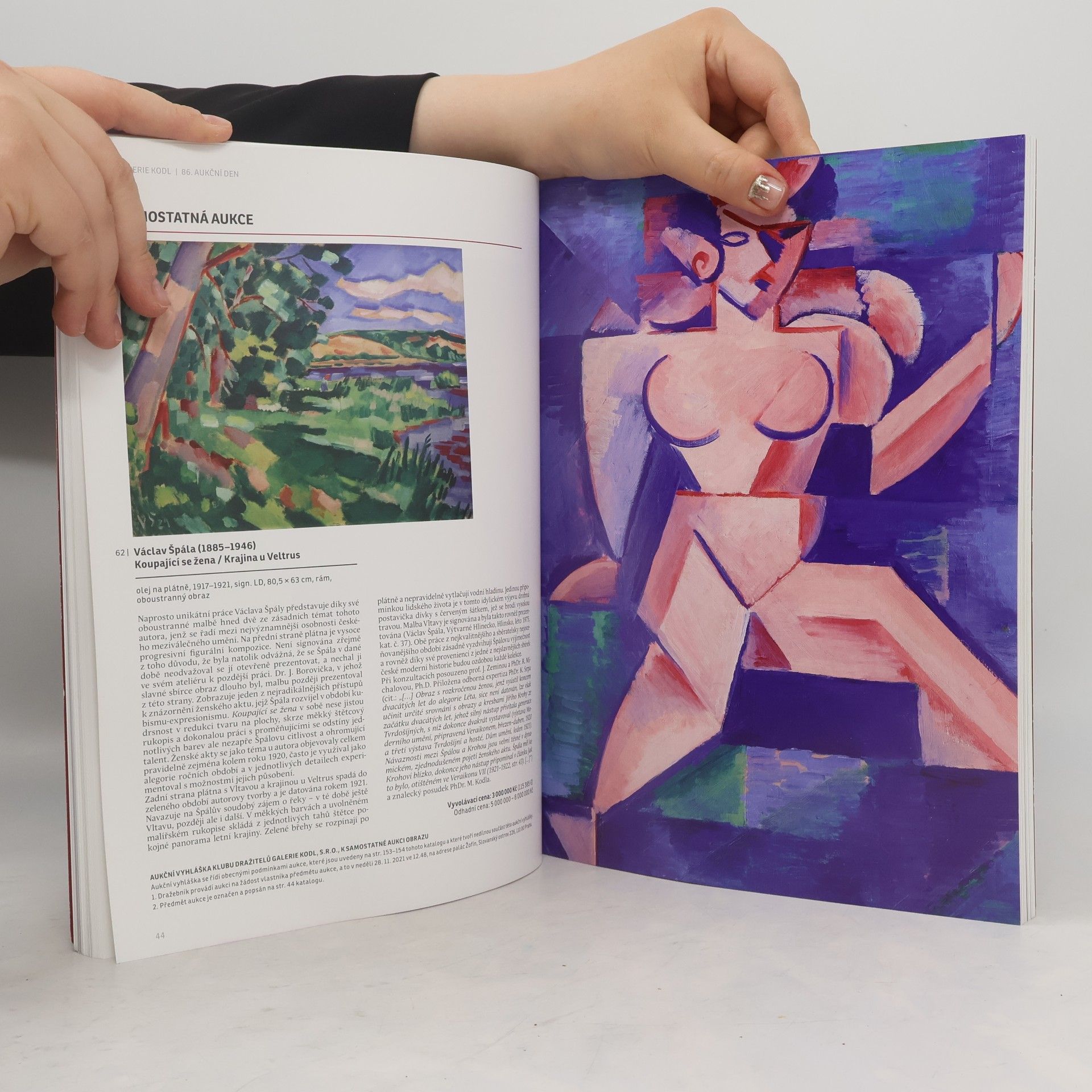 Kolektiv autorů 86. aukční den galerie Kodl