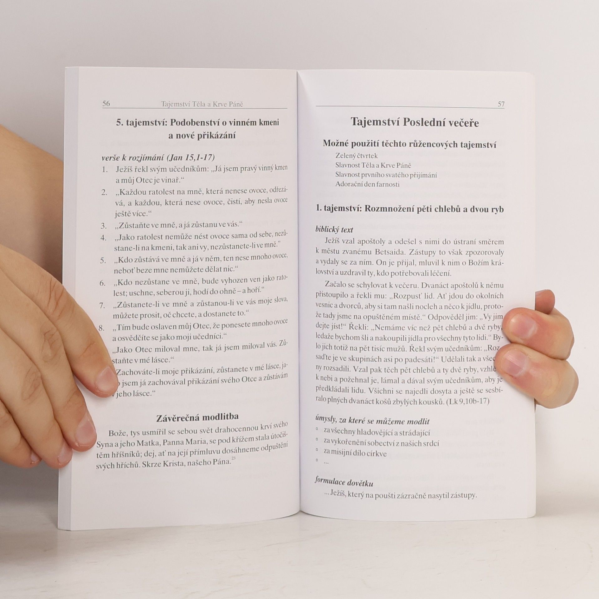 Jiří Plhoň Růžencová tajemství pro významné dny a období liturgického roku