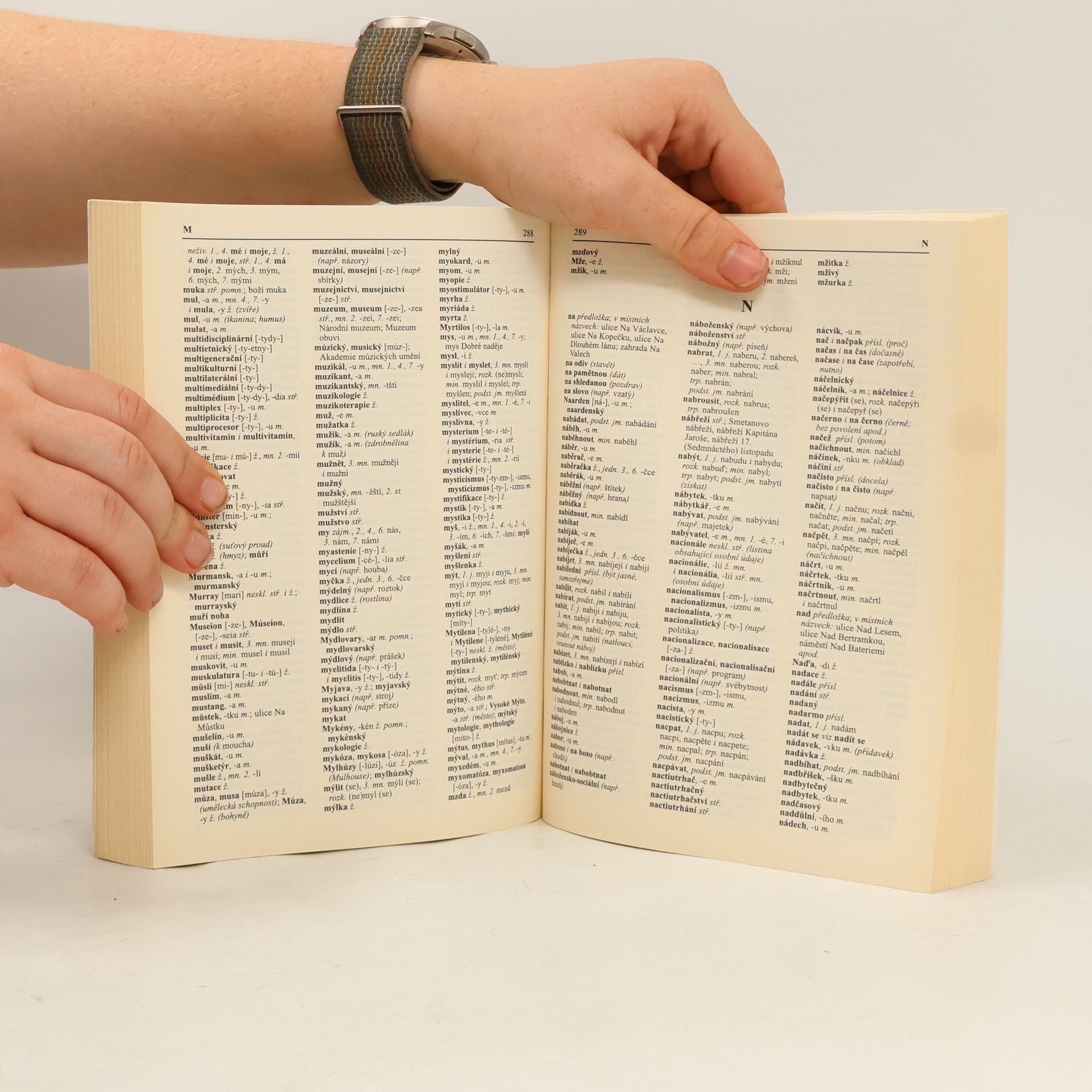 Collectif d'auteurs Pravidla českého pravopisu do kapsy