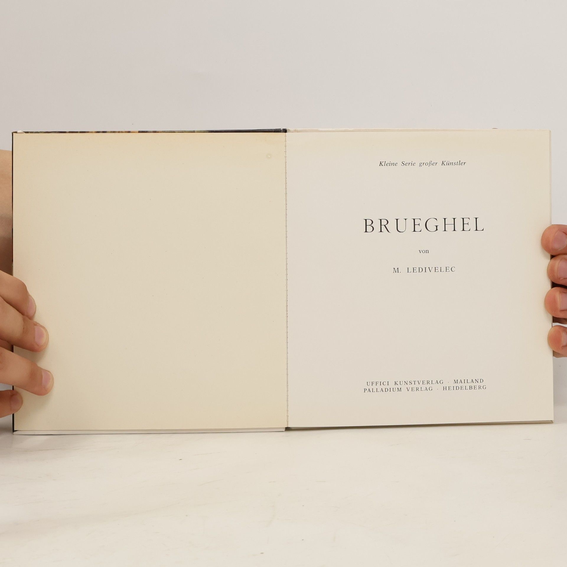 M. Ledivelec Brueghel