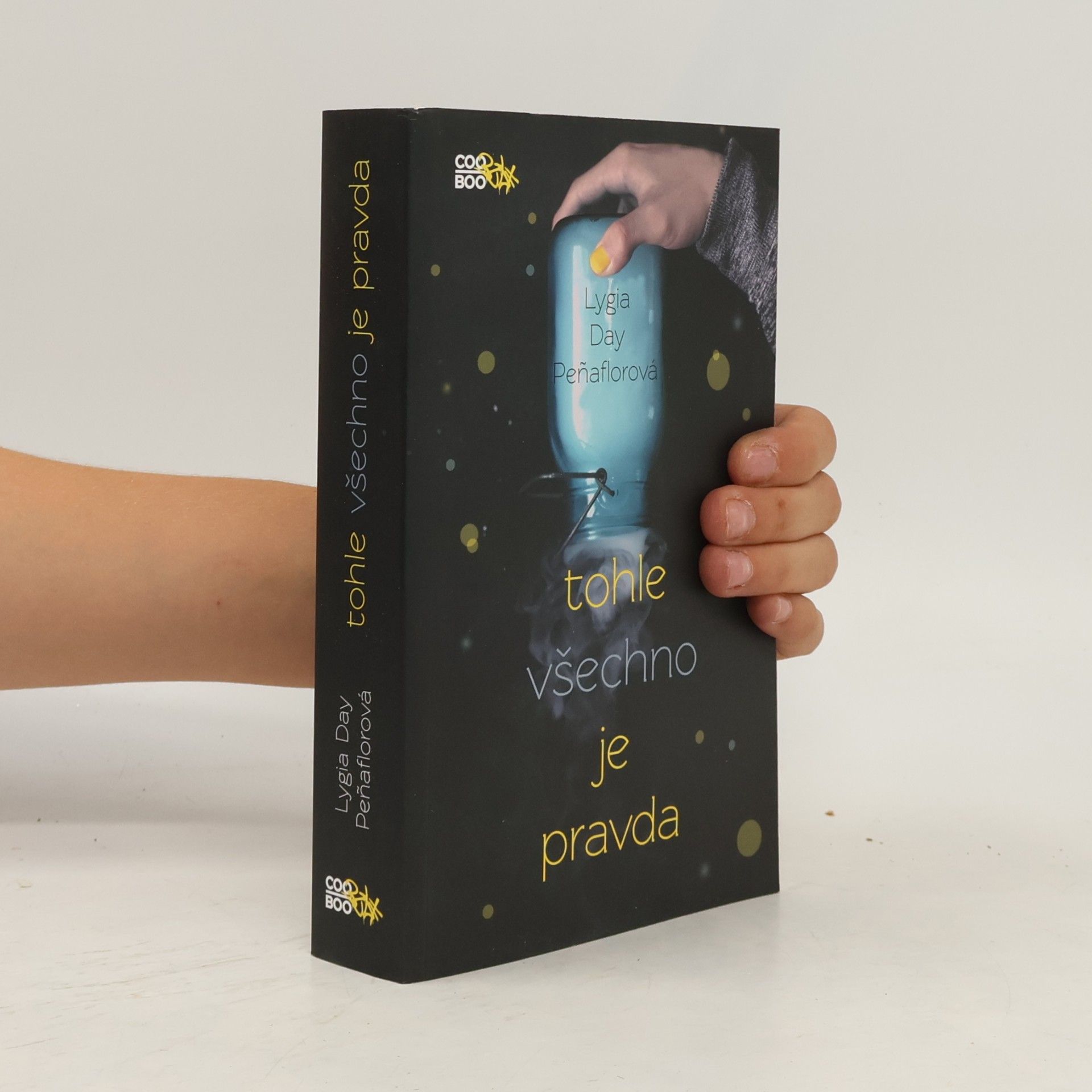 Lygia Day Peñaflor Tohle všechno je pravda