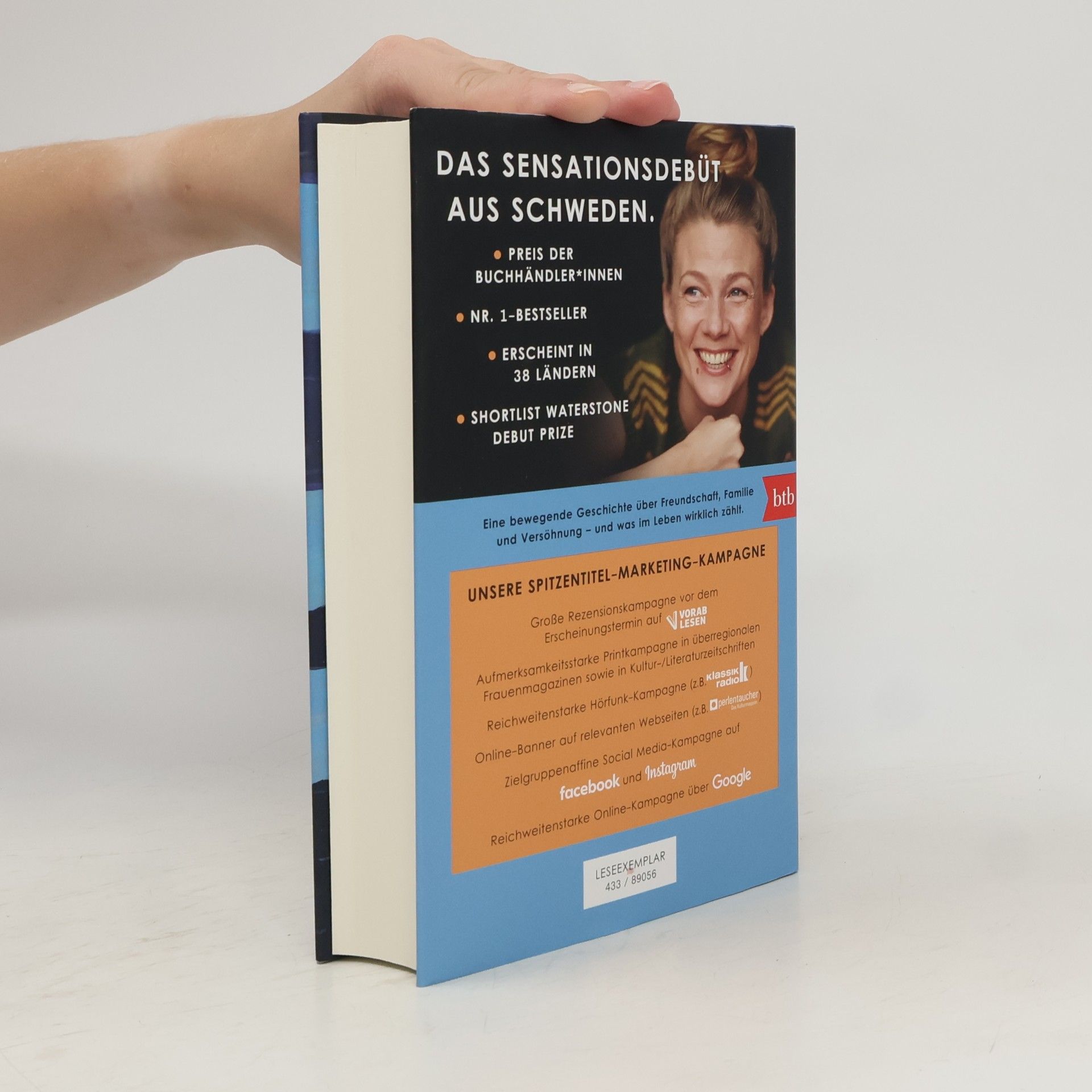 Lisa Ridzén Wenn die Kraniche nach Süden ziehen