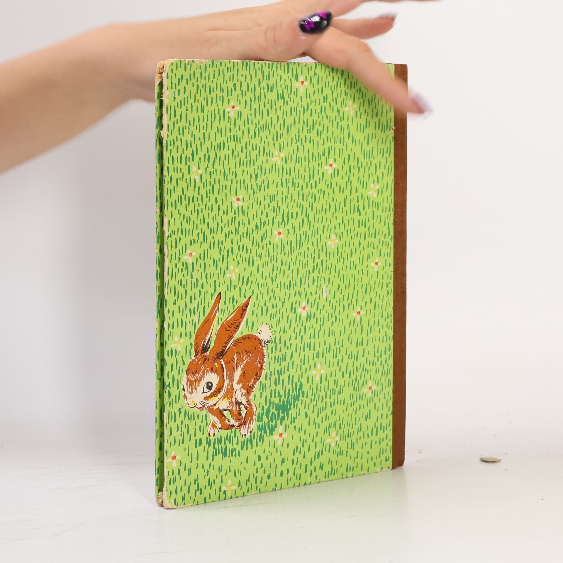 Ursula Dörge Der vertauschte Osterhase