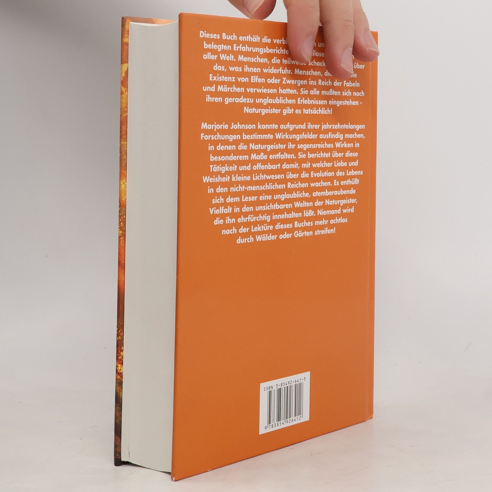 Marjorie Johnson Erlebnisse mit Elfen und Zwergen