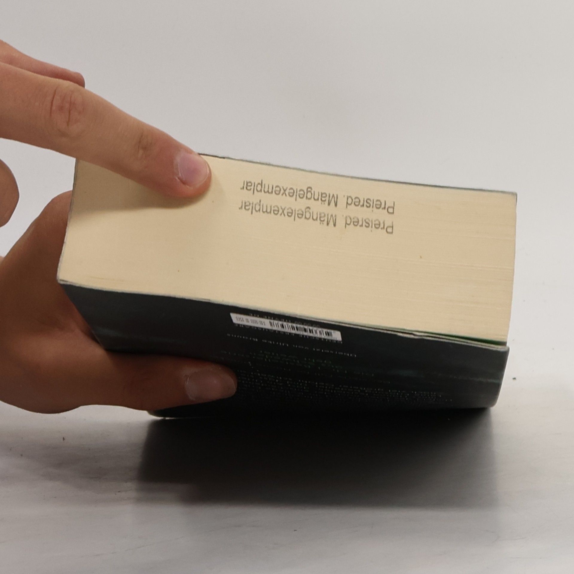 Johanna Mönch Nebelstunde