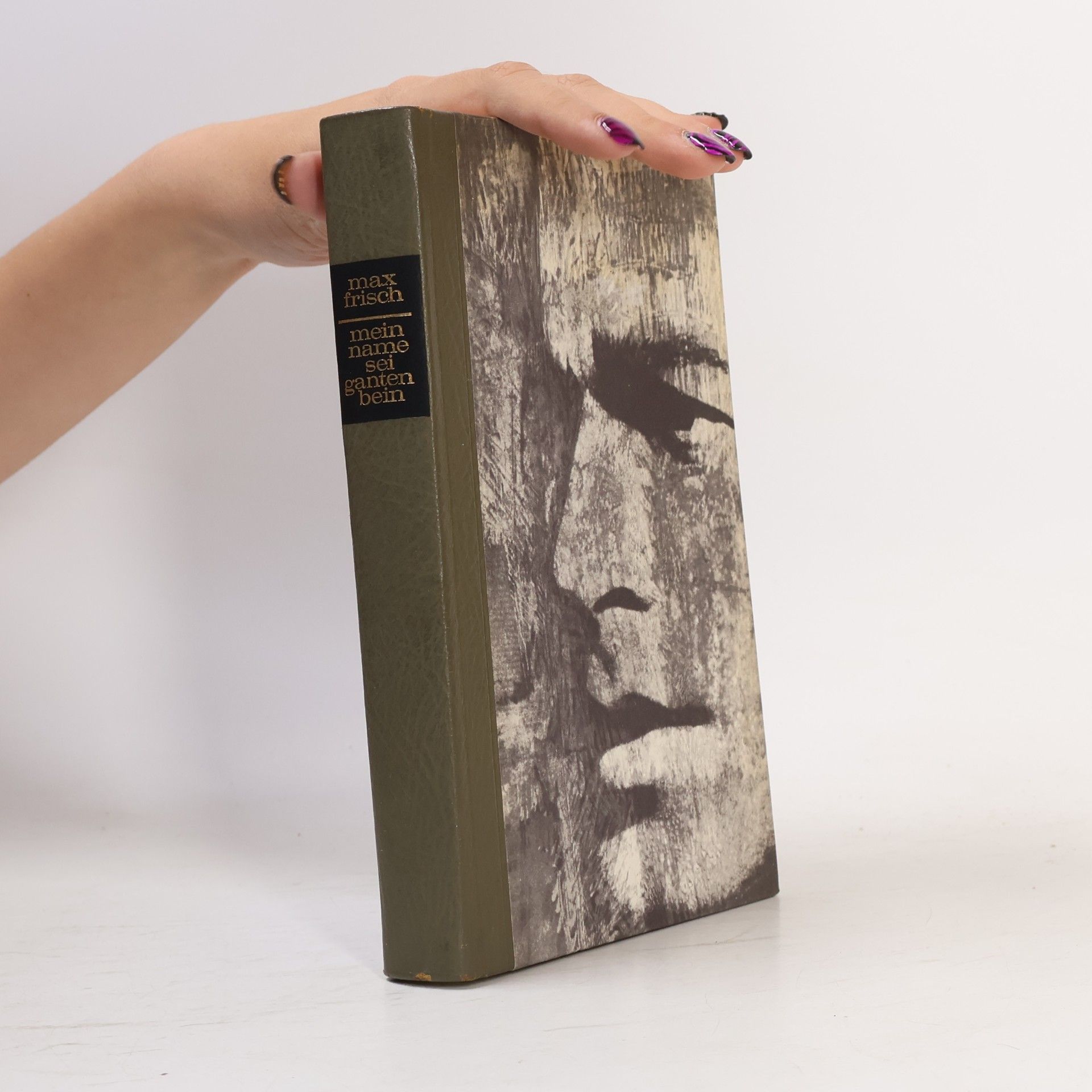 Max Frisch Mein Name sei Gantenbein