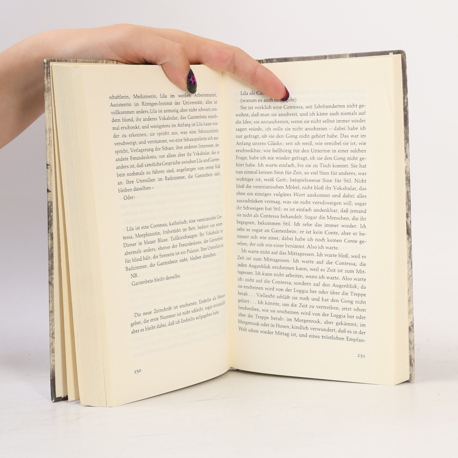 Max Frisch Mein Name sei Gantenbein