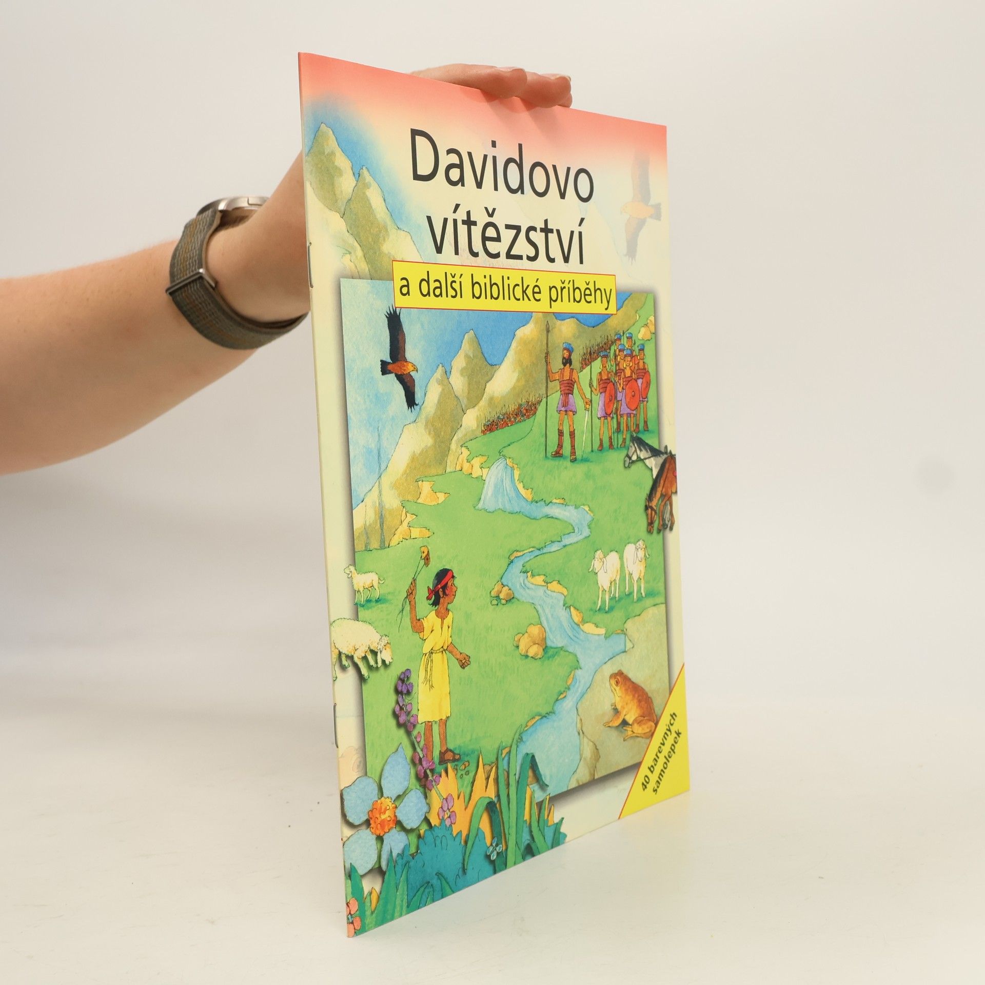 Sally Ann Wright Davidovo vítězství a další biblické příběhy