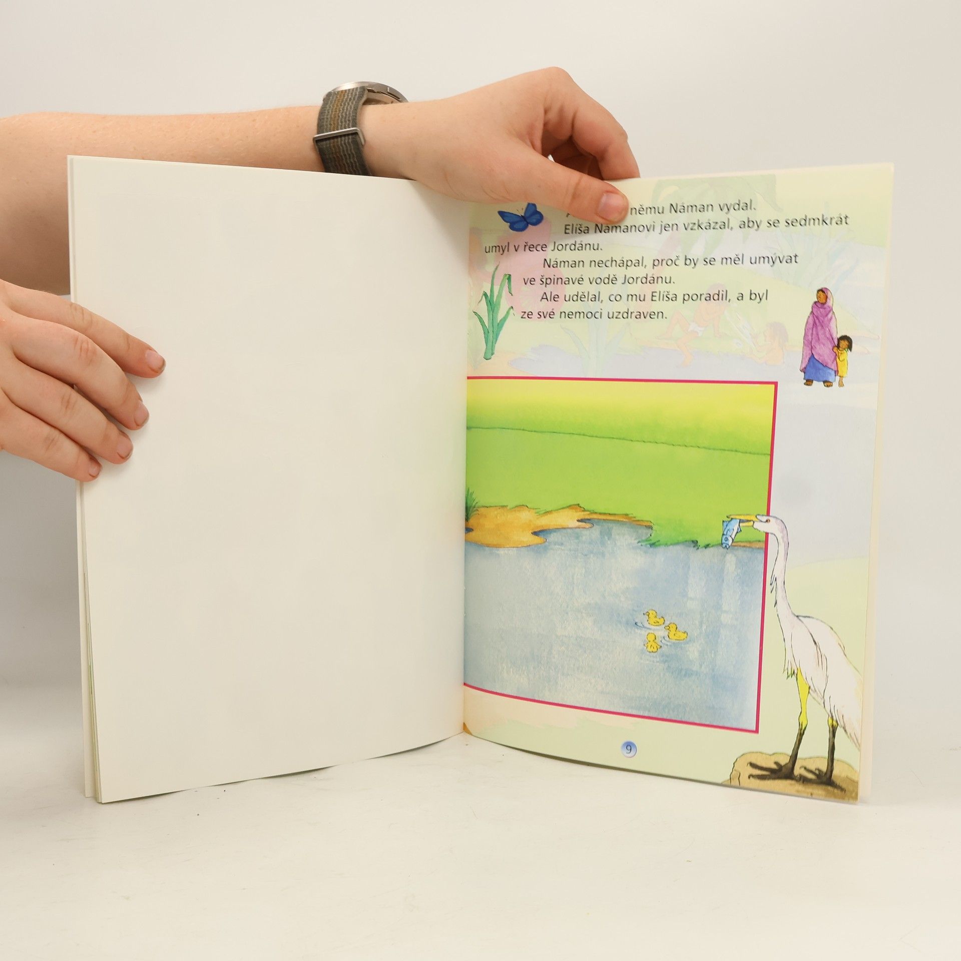Sally Ann Wright Davidovo vítězství a další biblické příběhy
