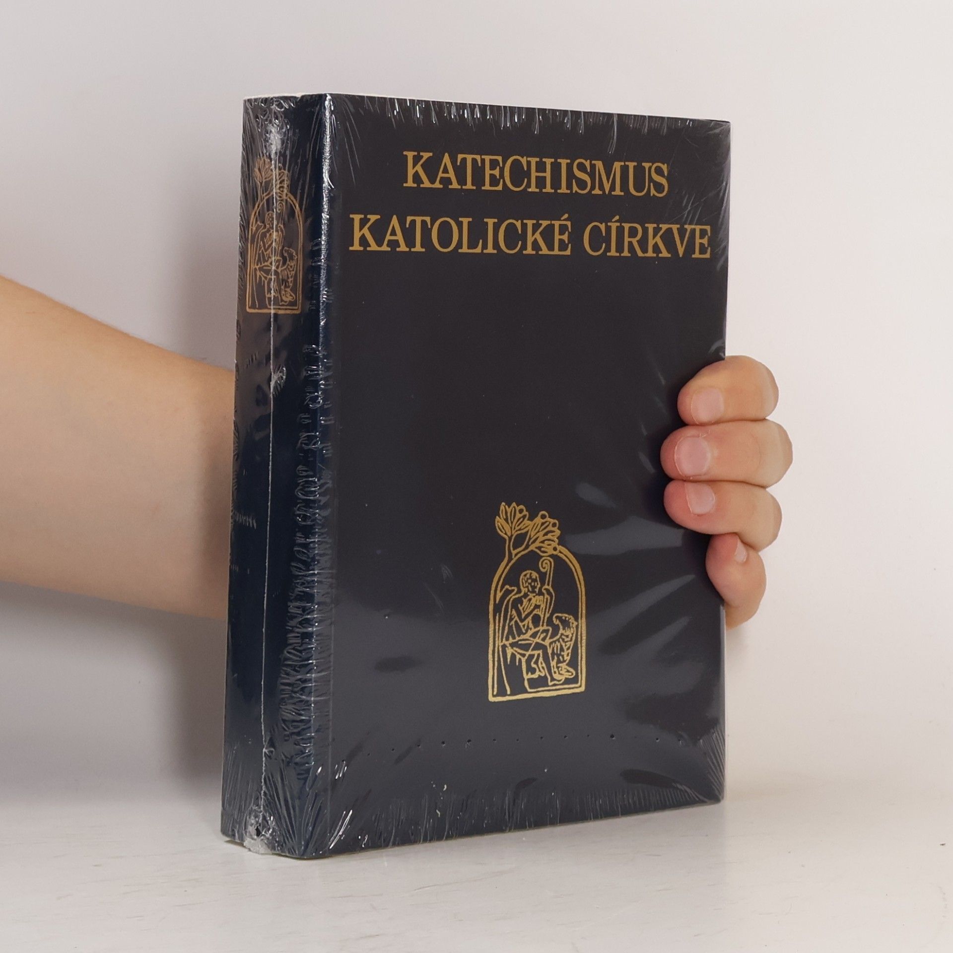 Kolektiv autorů Katechismus katolické církve