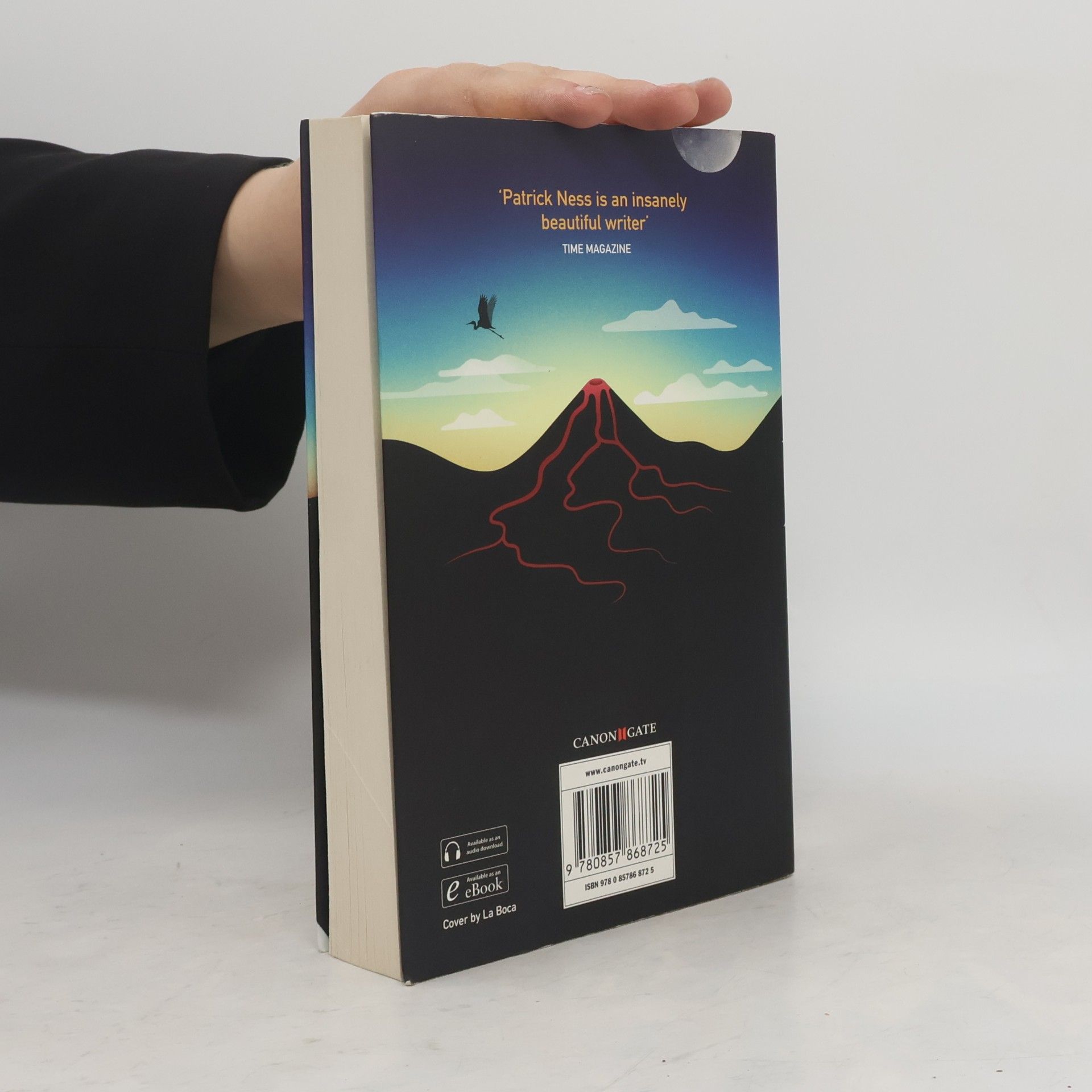 Patrick Ness The Crane Wife