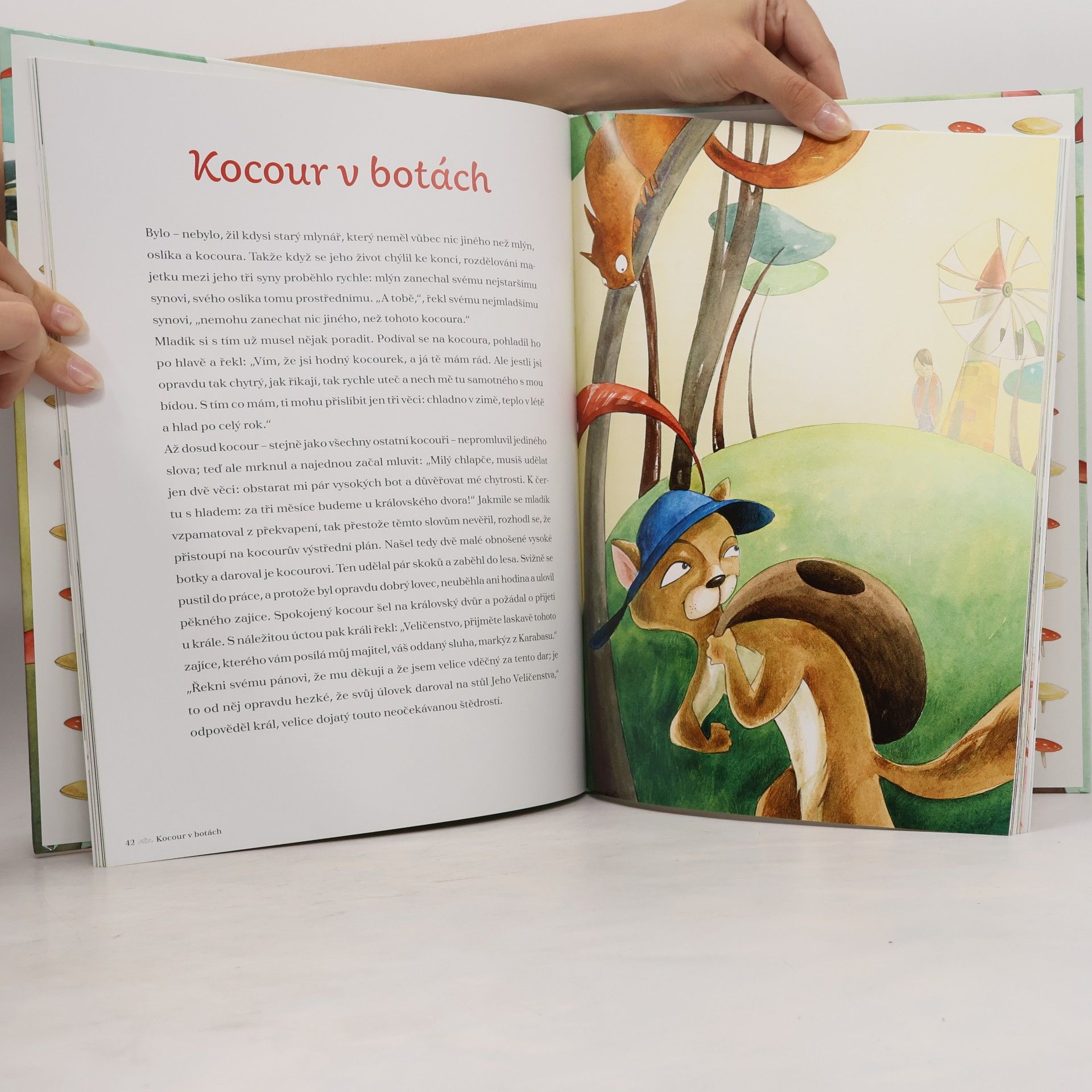 Francesca Ross Pohádky bratří Grimmů