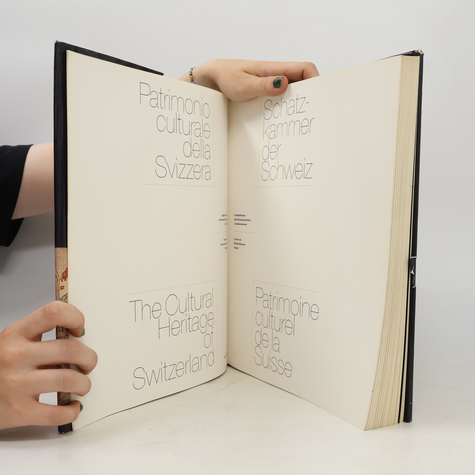 Autorenkollektiv Schatzkammer der Schweiz