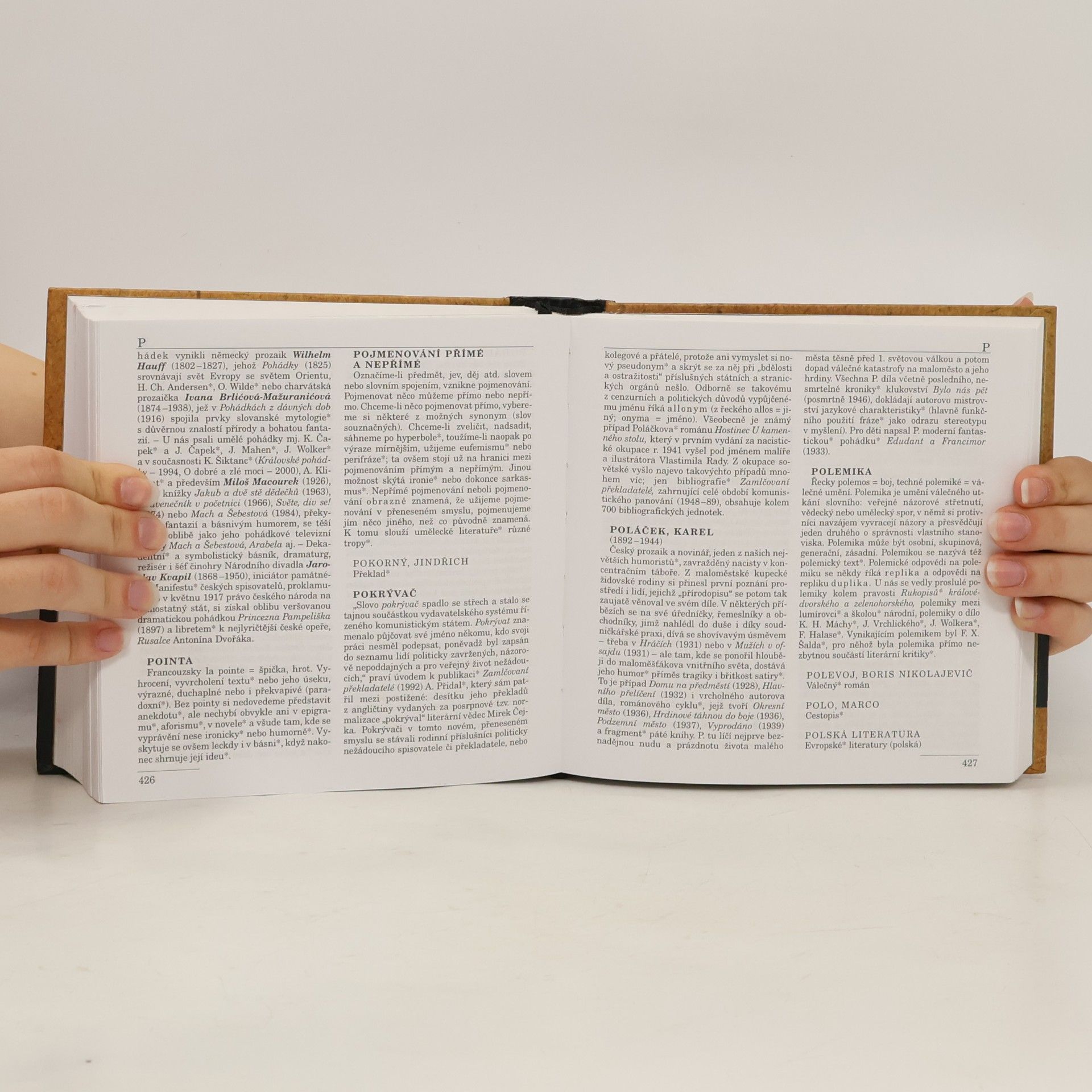 Dušan Karpatský Malý labyrint literatury