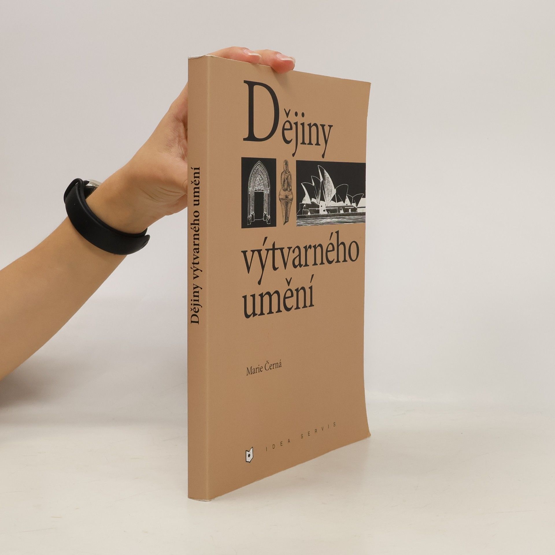 Marie Černá Dějiny výtvarného umění