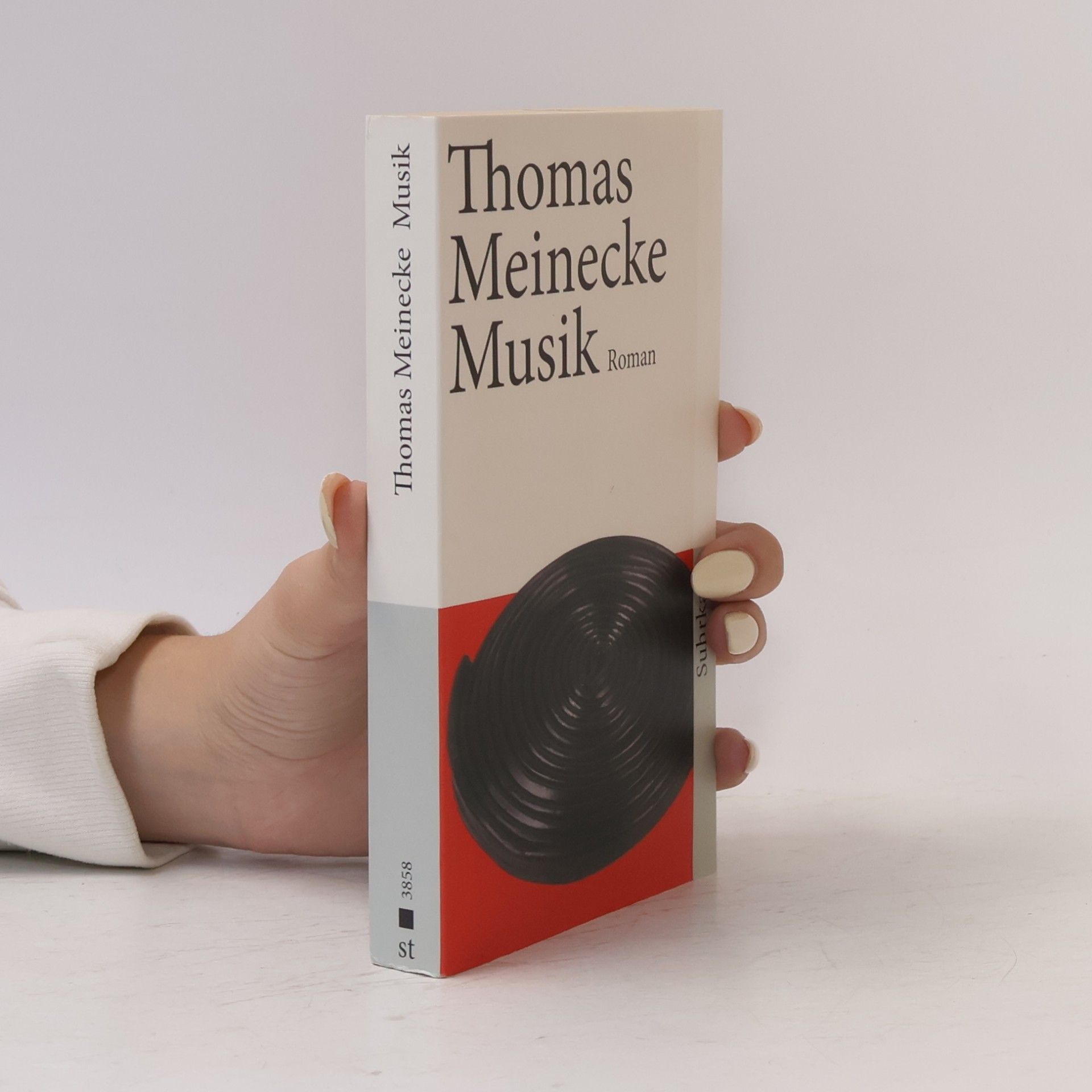 Thomas Meinecke Musik