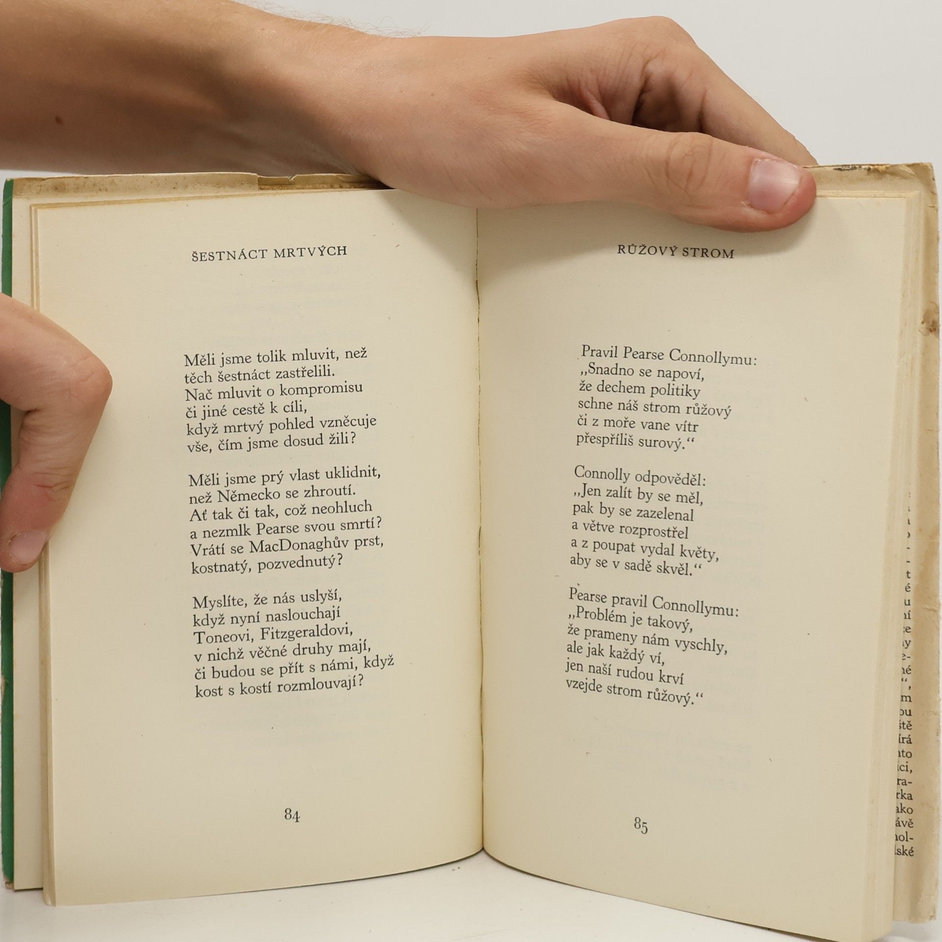 William Butler Yeats Slova snad pro hudbu
