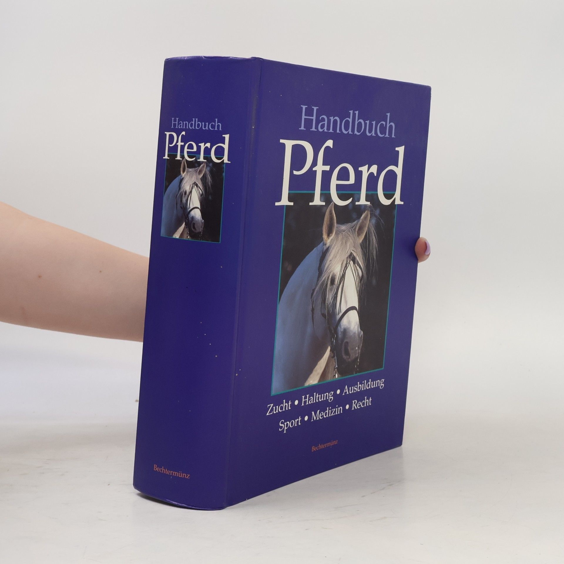 Autorenkollektiv Handbuch Pferd