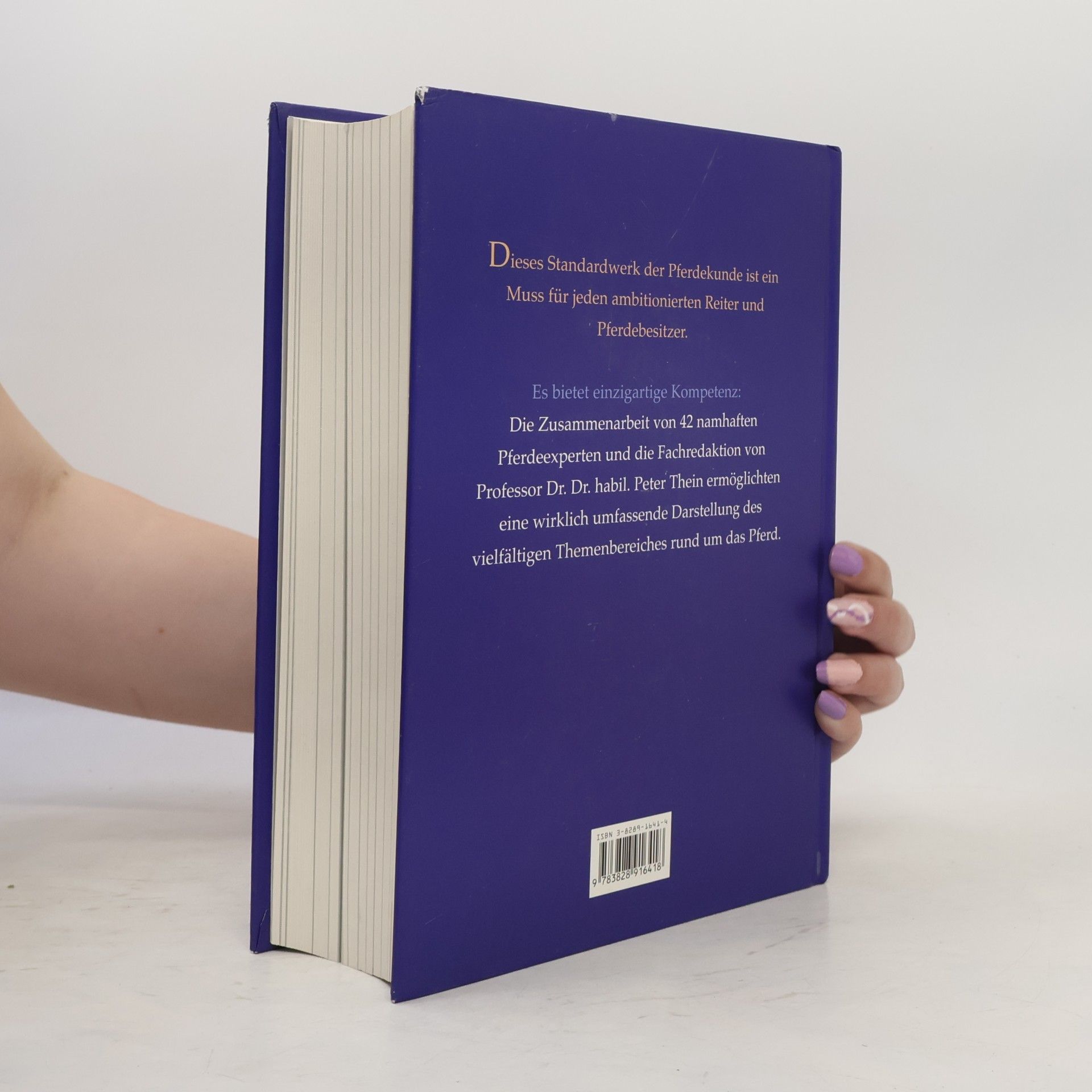 Autorenkollektiv Handbuch Pferd