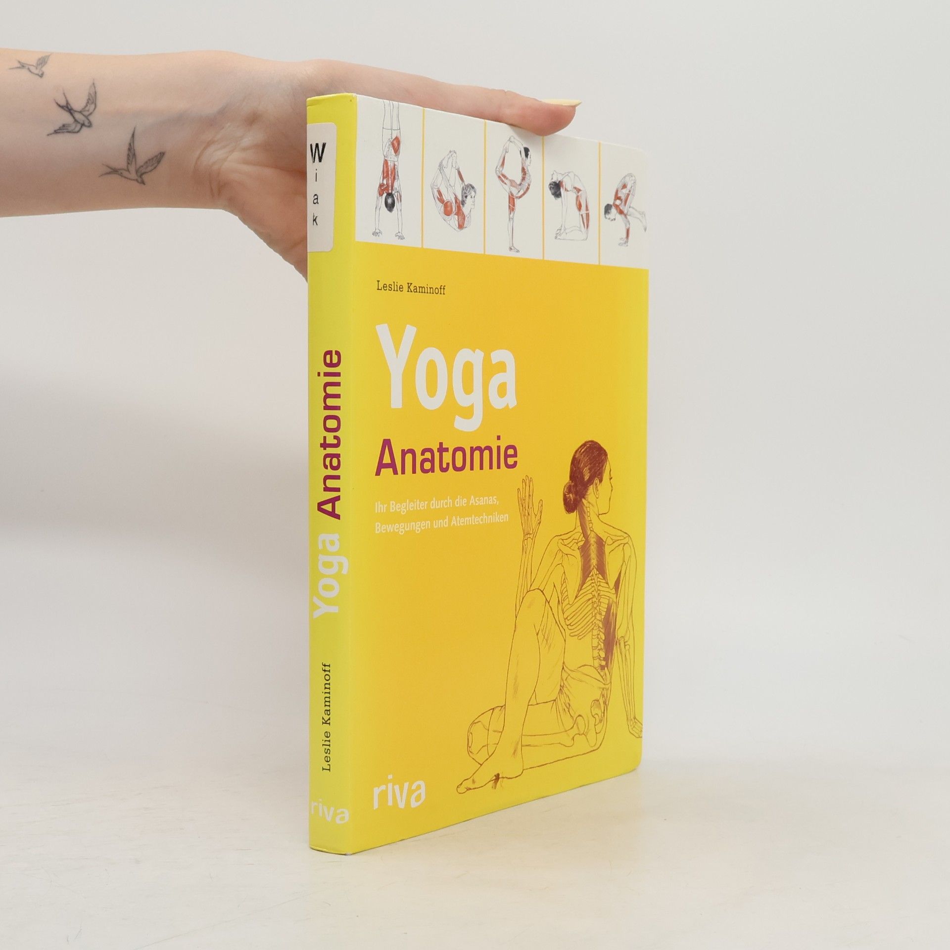 Leslie Kaminoff Yoga-Anatomie