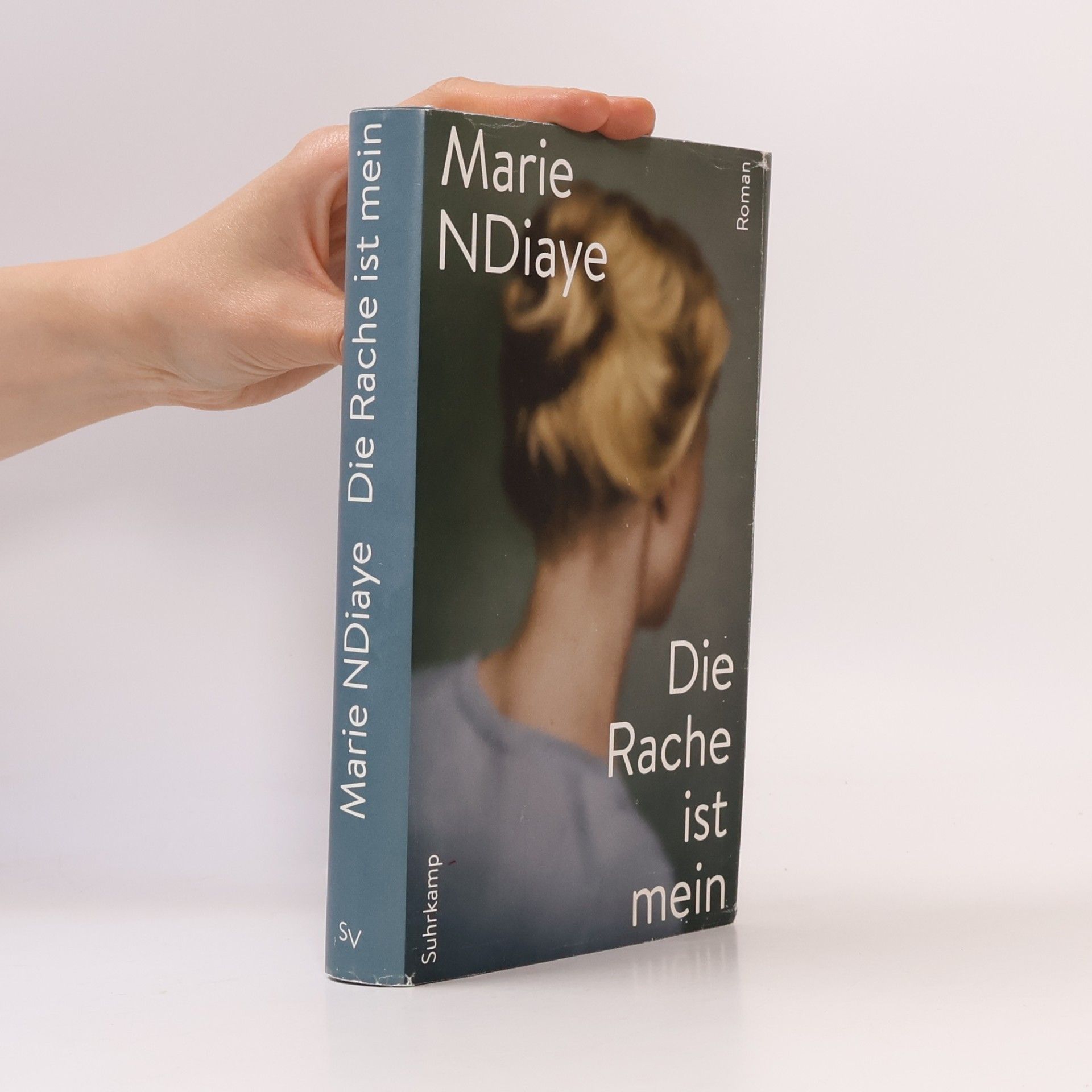 Marie NDiaye Die Rache ist mein