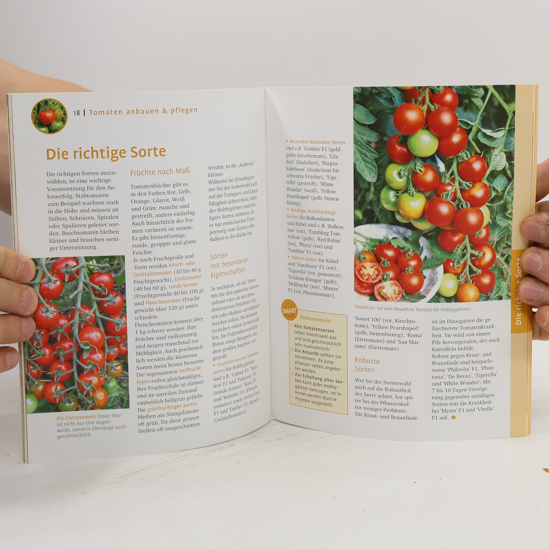 Eva Schumann Tomaten aus dem Garten