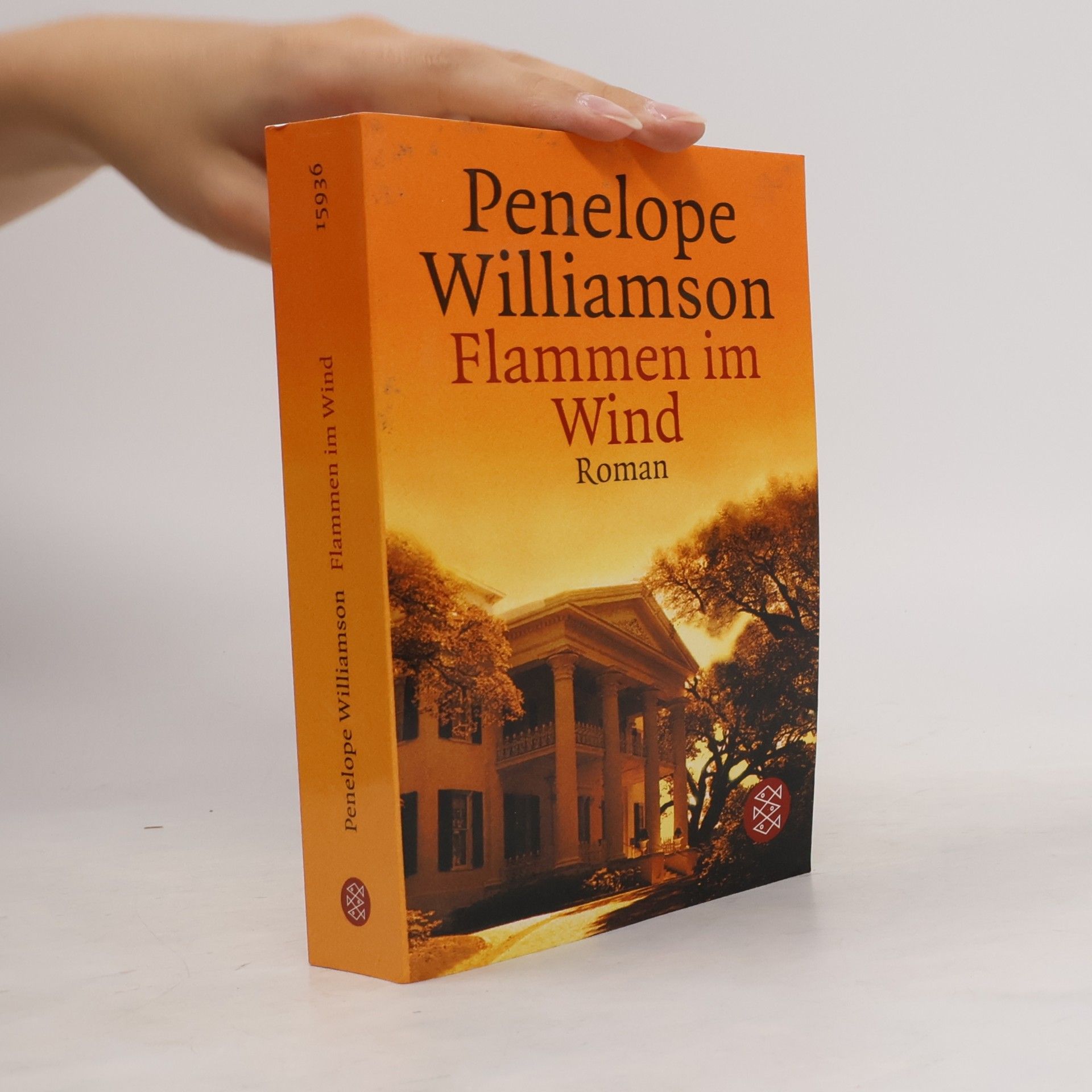 Penelope Williamson Flammen im Wind