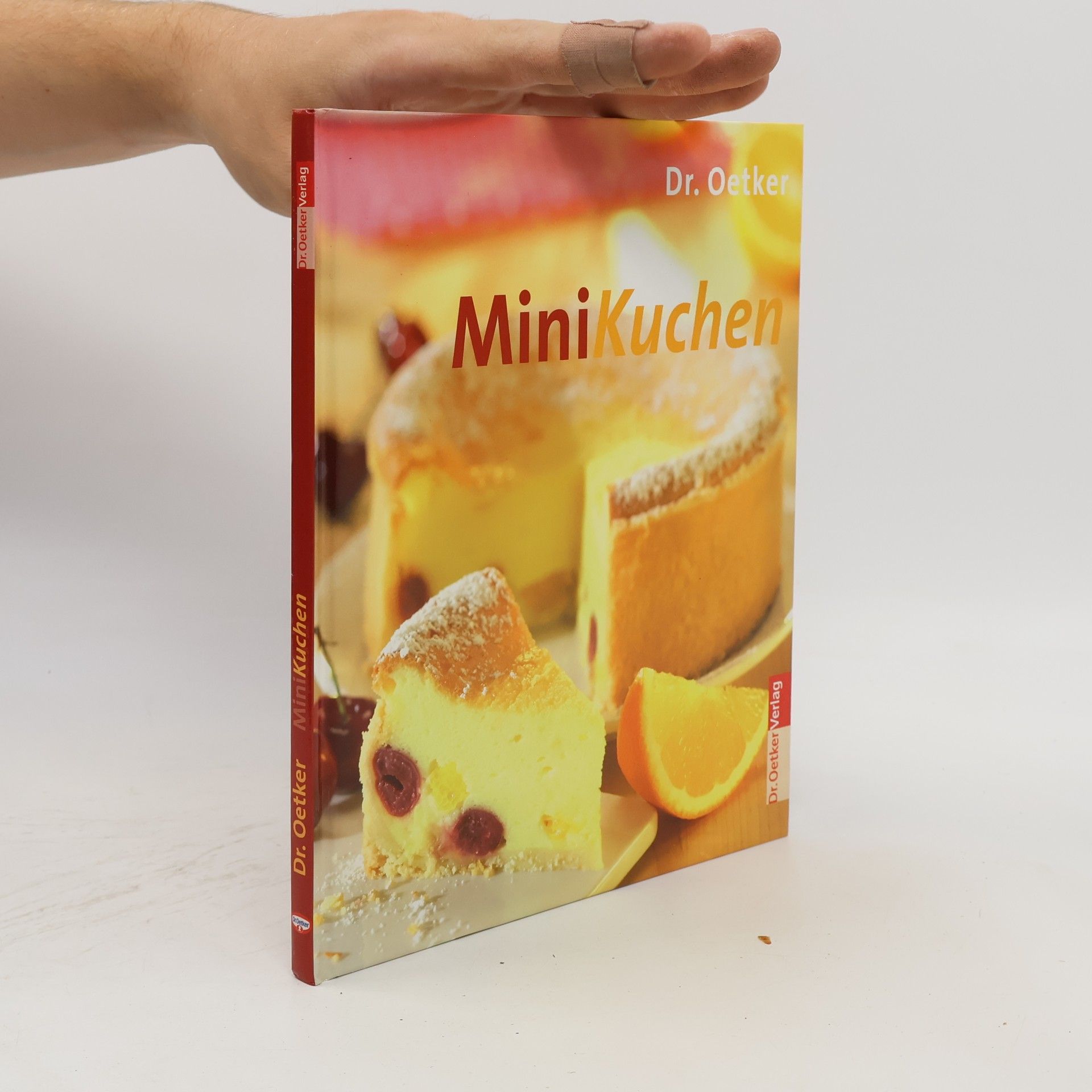 Anke Rabeler Dr. Oetker Minikuchen