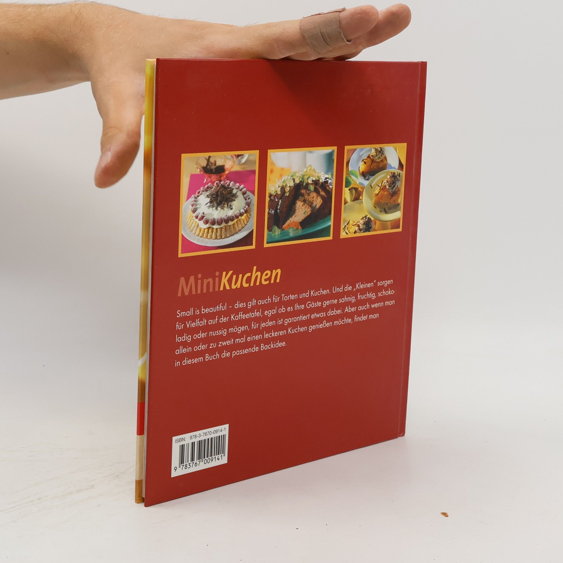 Anke Rabeler Dr. Oetker Minikuchen