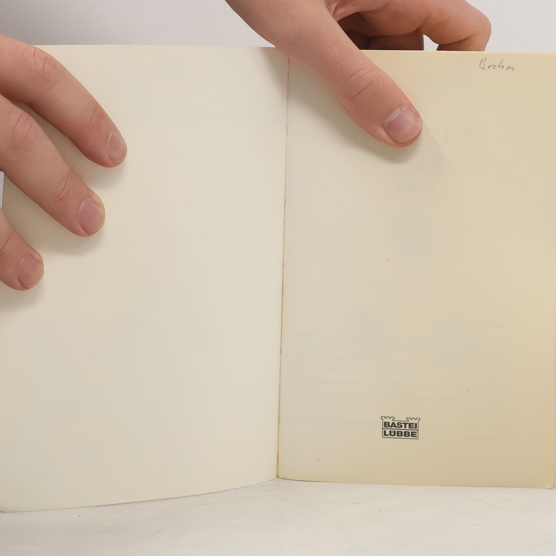 Liane Moriarty Drei Wünsche frei
