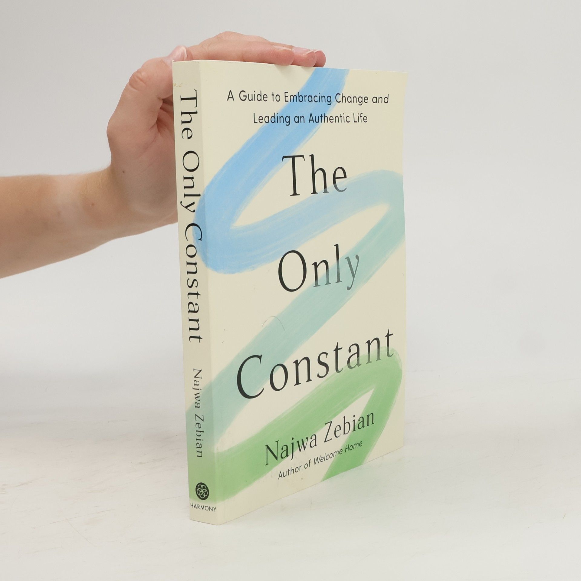 Najwa Zebian The Only Constant