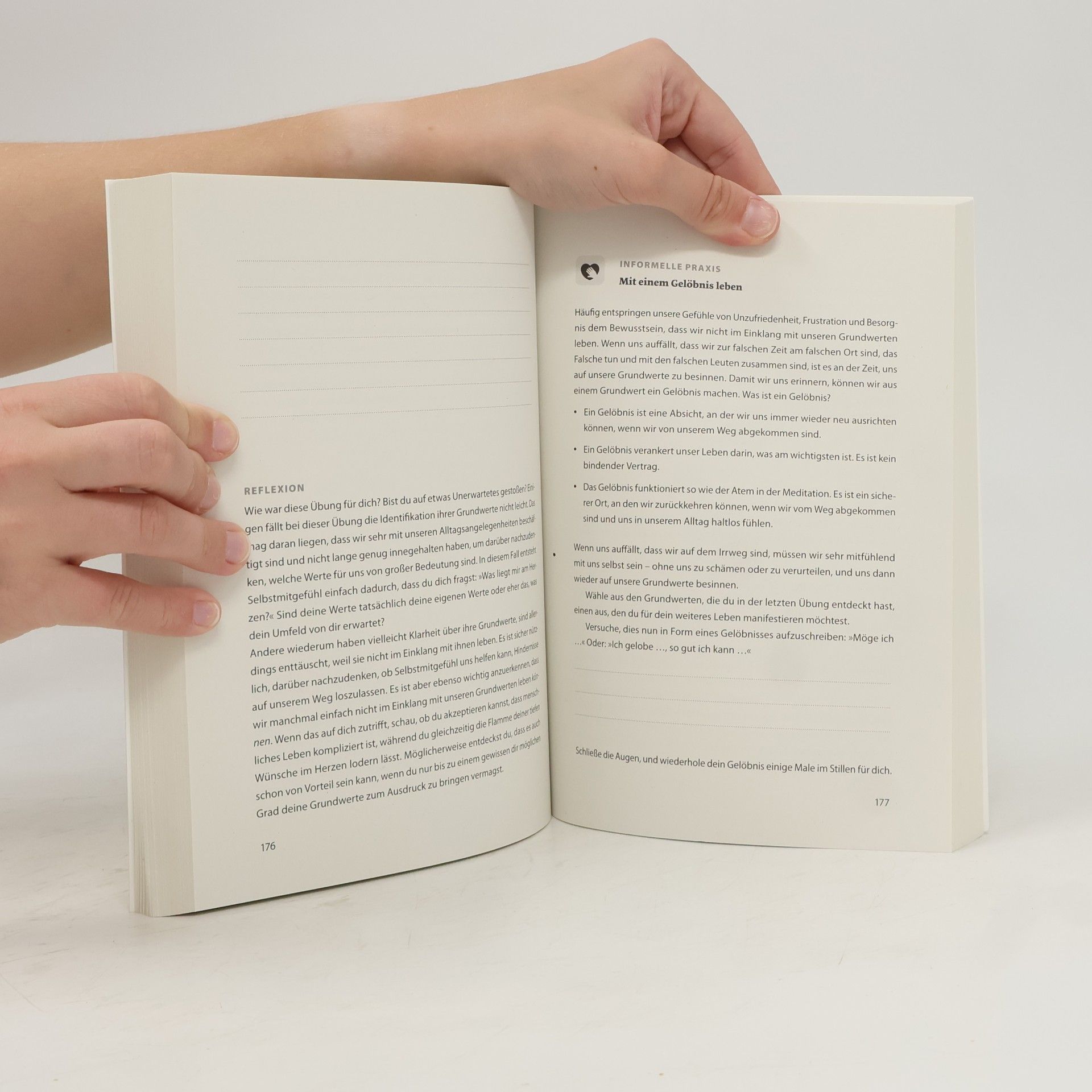 Kristin Neff Selbstmitgefühl - das Übungsbuch