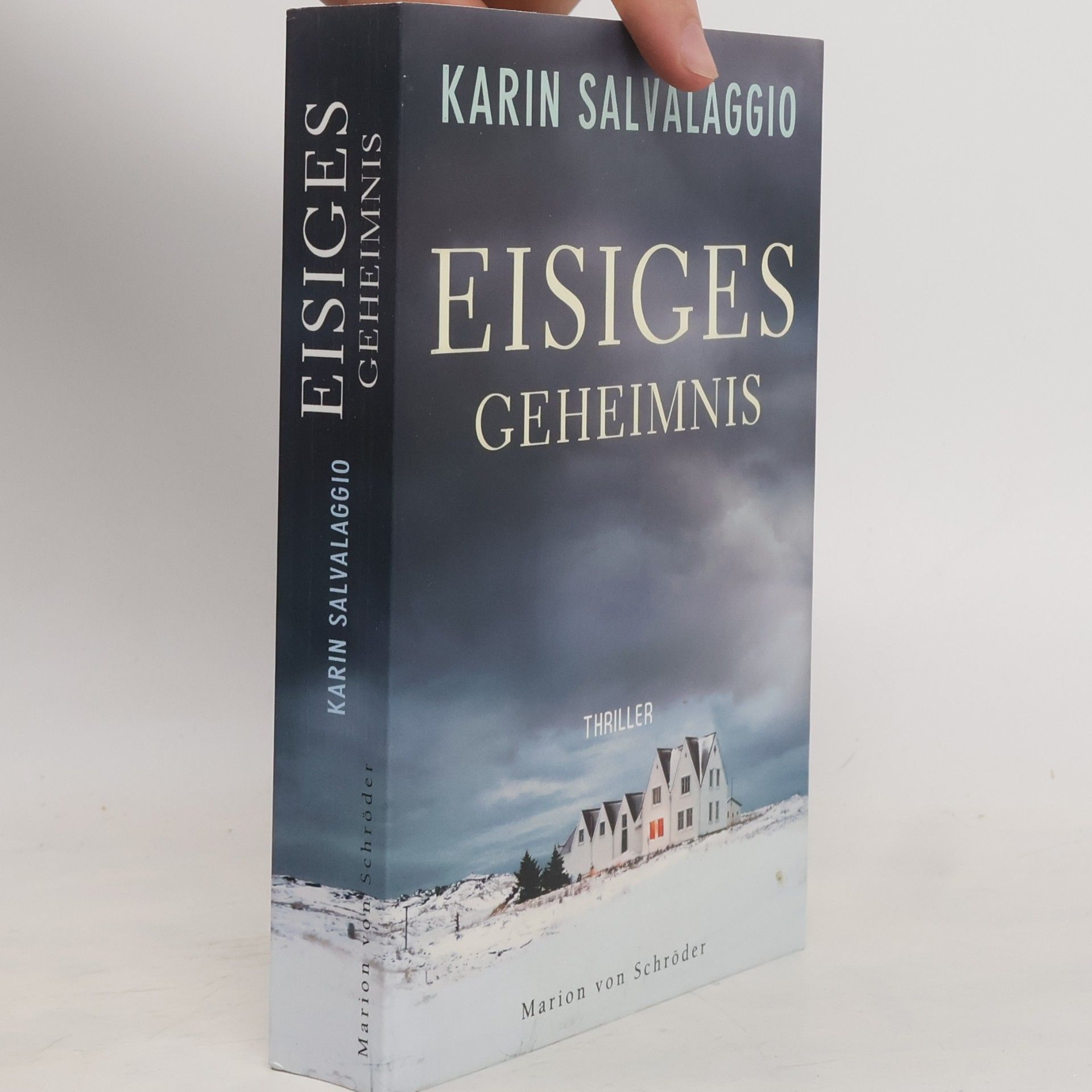 Karin Salvalaggio Eisiges Geheimnis