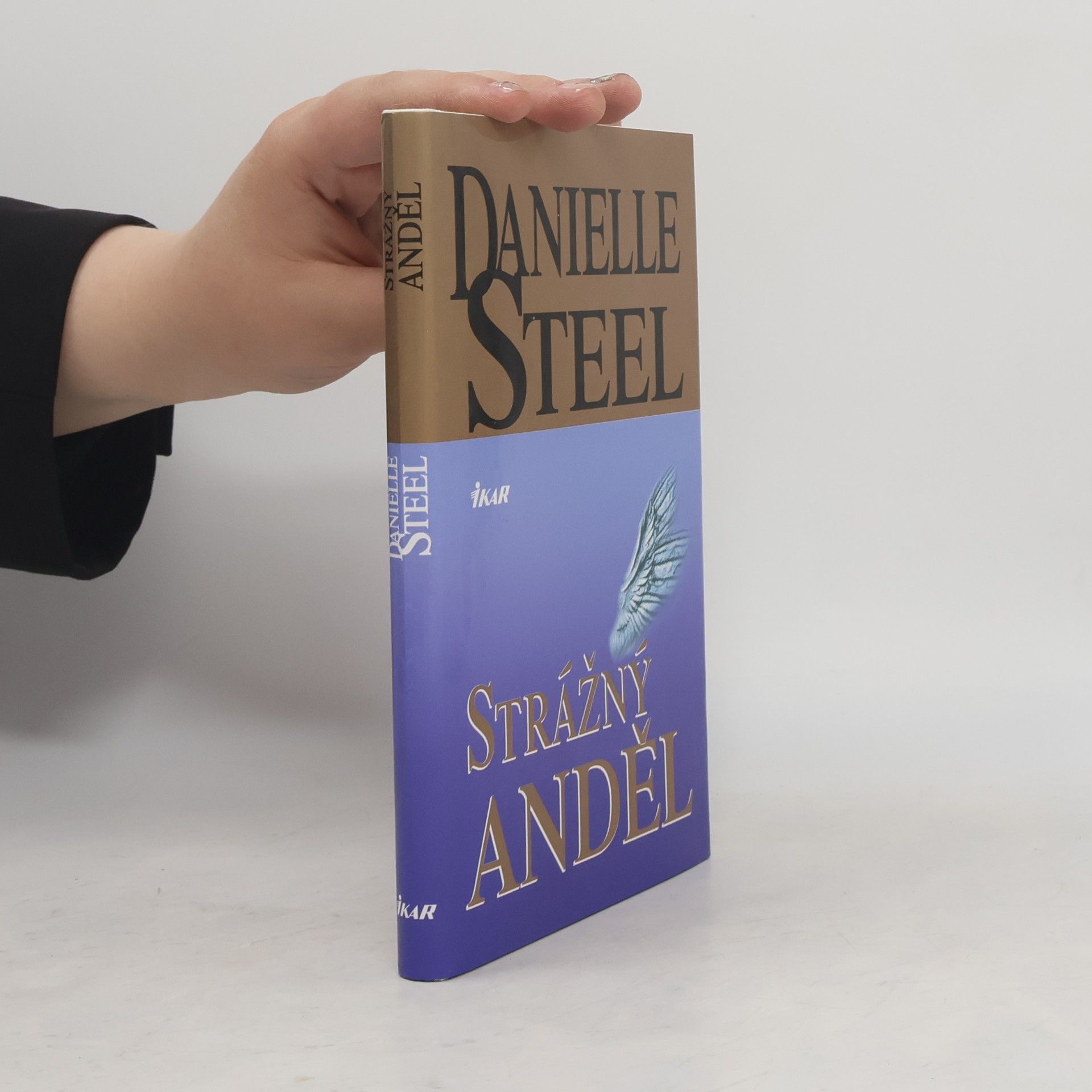 Danielle Steelová Strážný anděl