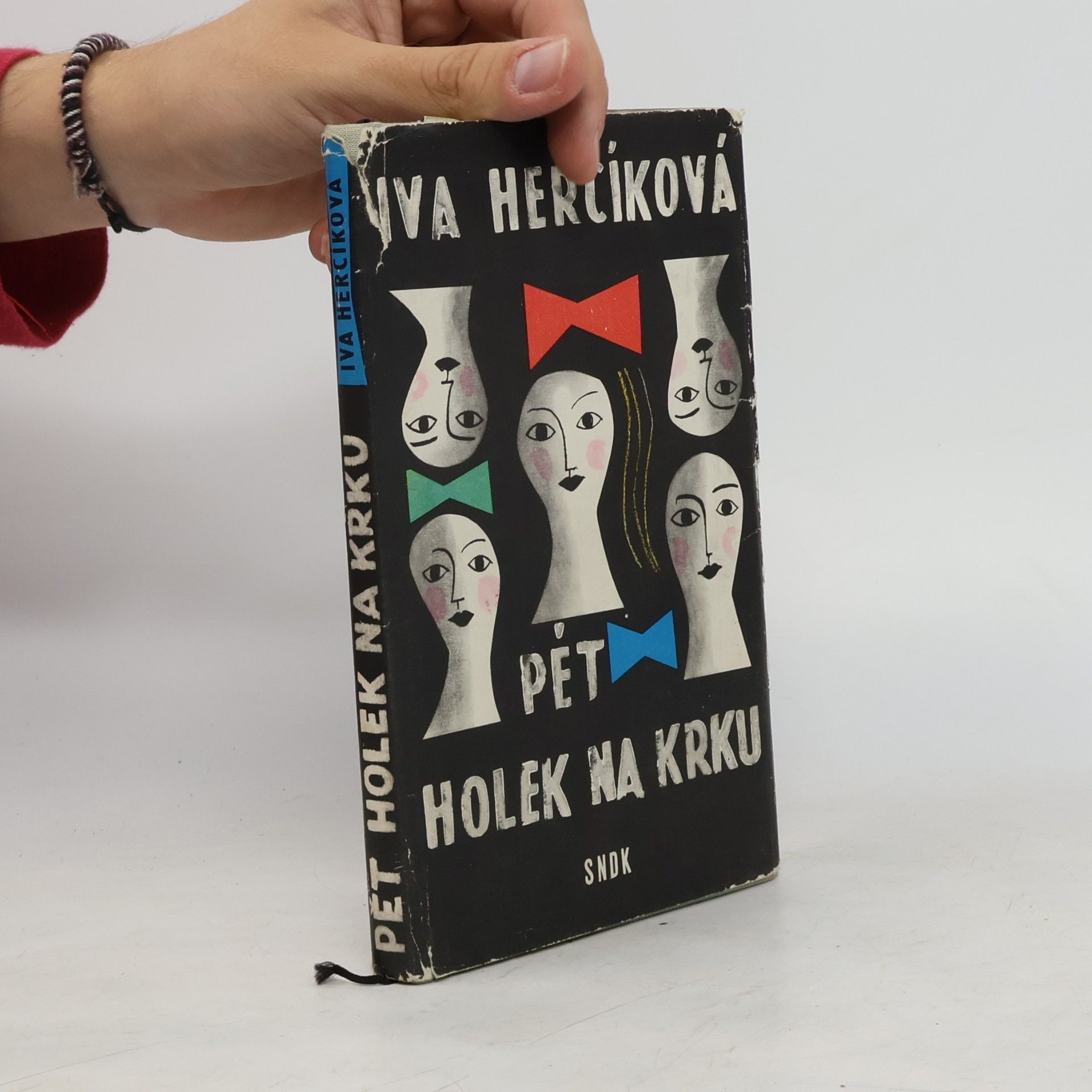 Iva Hercíková Pět holek na krku