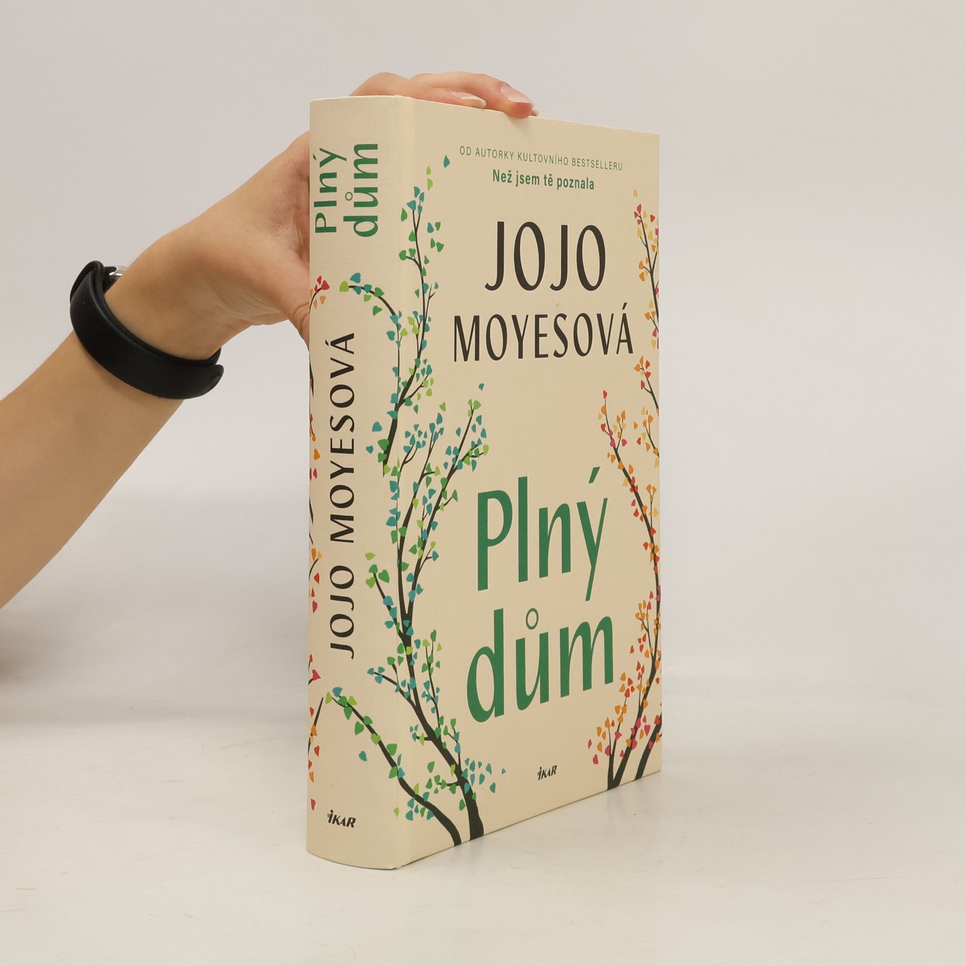 Jojo Moyes Plný dům