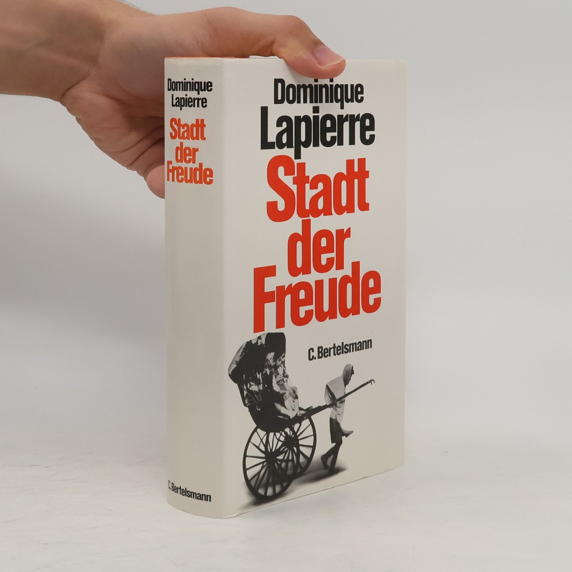 Dominique Lapierre Stadt der Freude