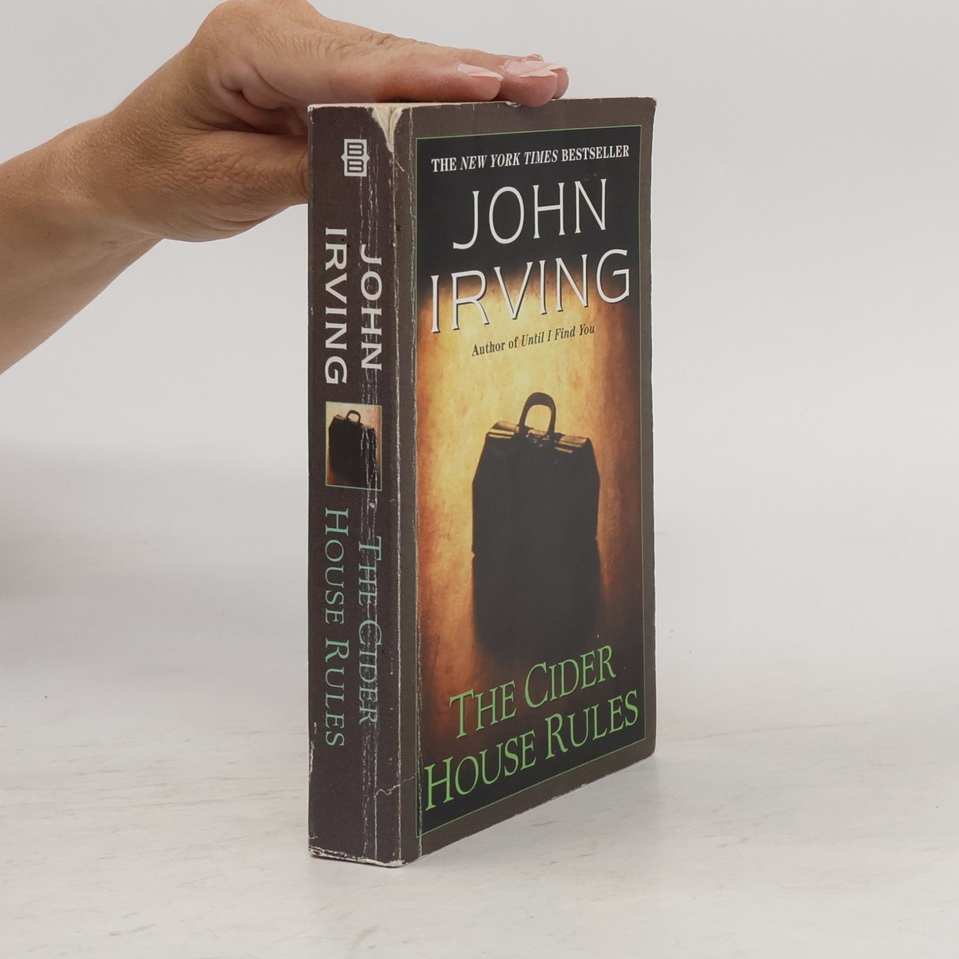 John Irving The Cider House Rules