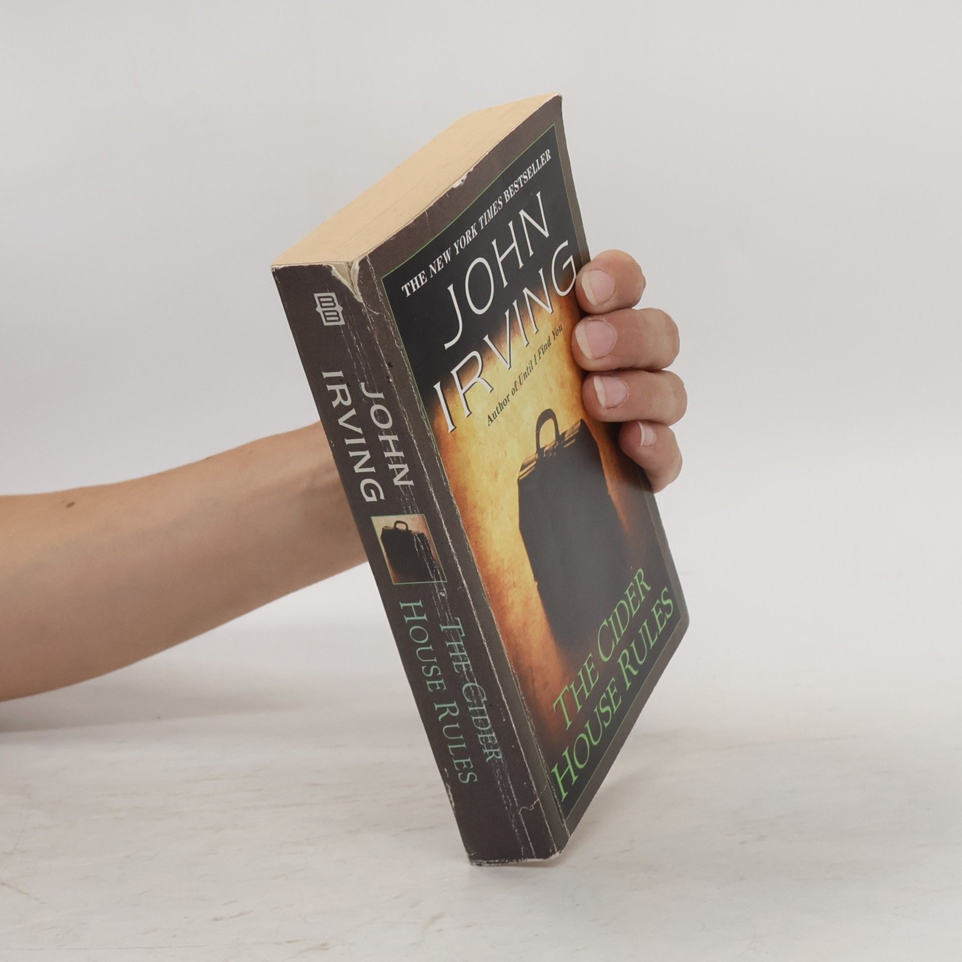 John Irving The Cider House Rules