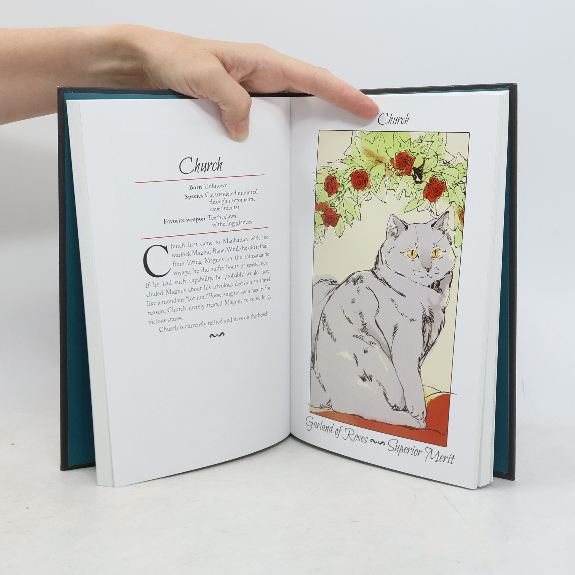 Cassandra Clare An Illustrated History of Notable Shadowhunters & Denizens of Downworld
