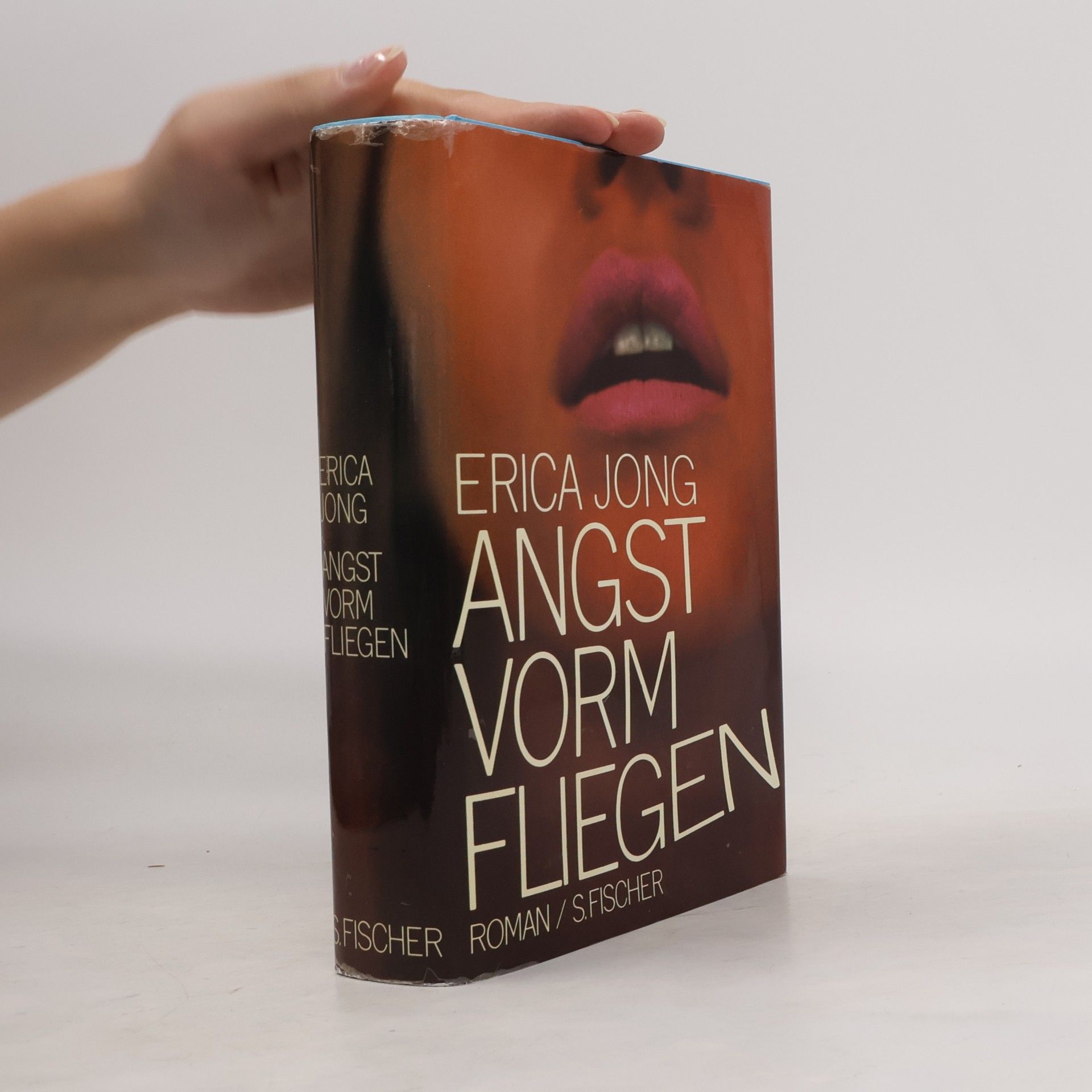 Erica Jong Angst vorm Fliegen