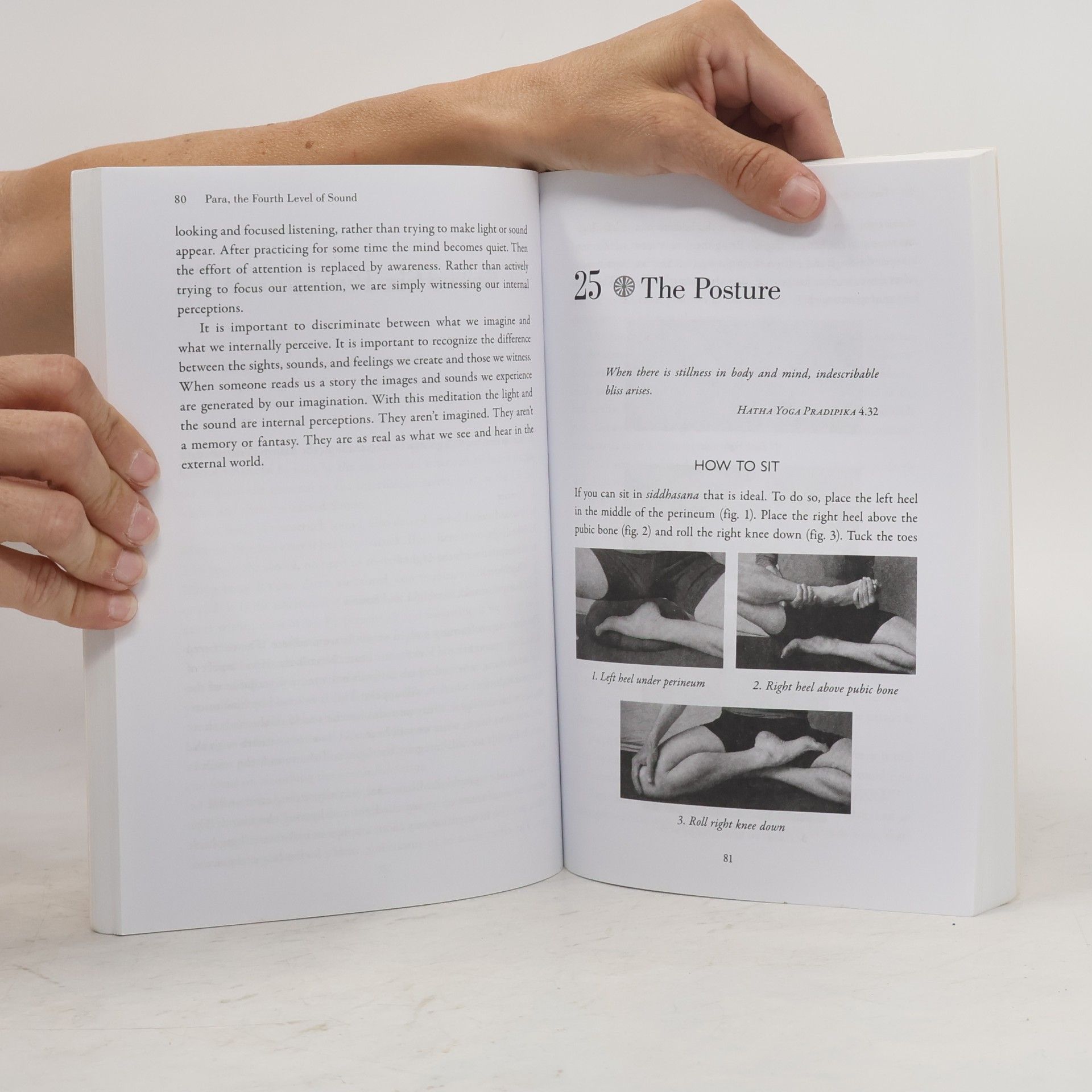 Baird Hersey The Practice of Nada Yoga
